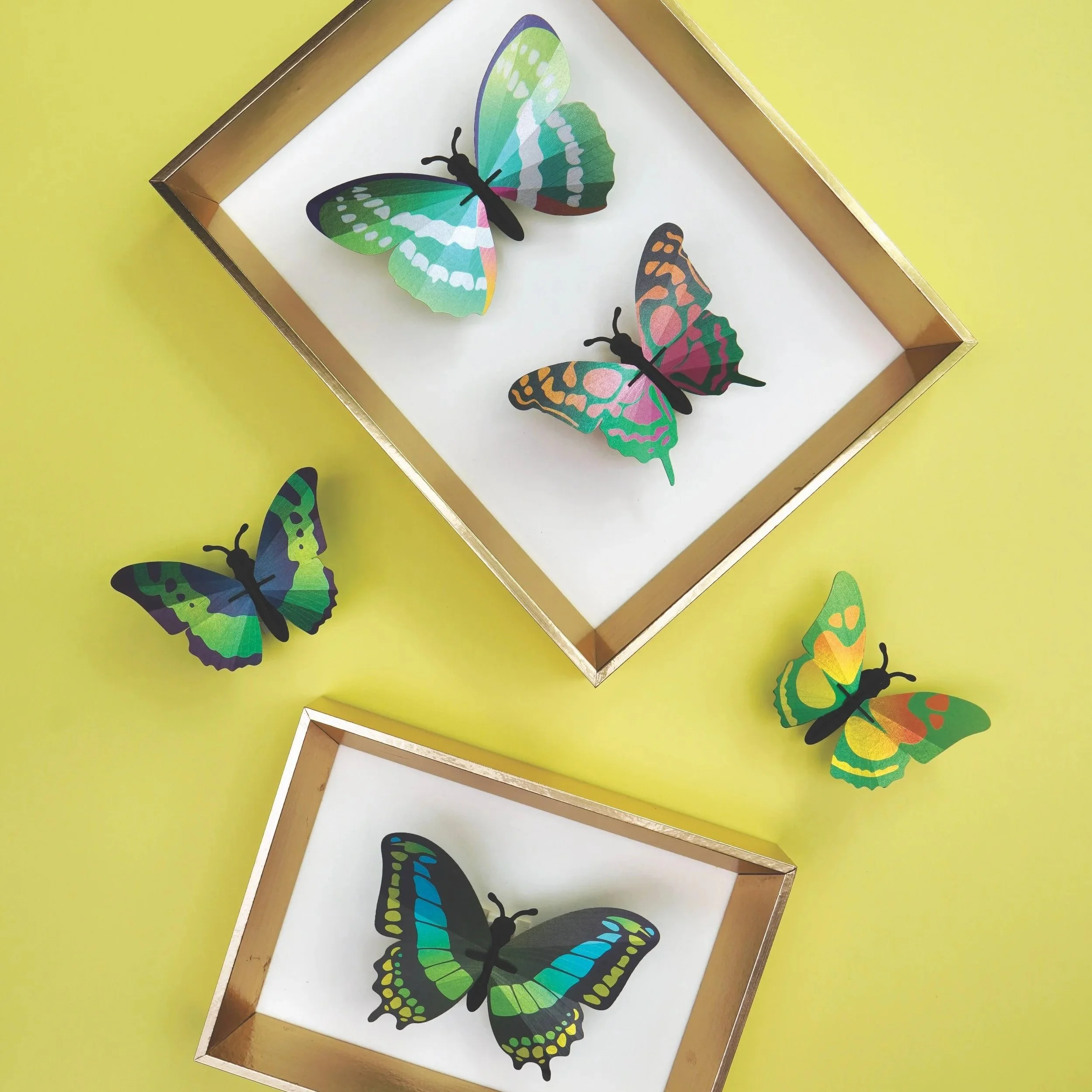 Assembli+Butterfly+Set+green+in+frame.jpg
