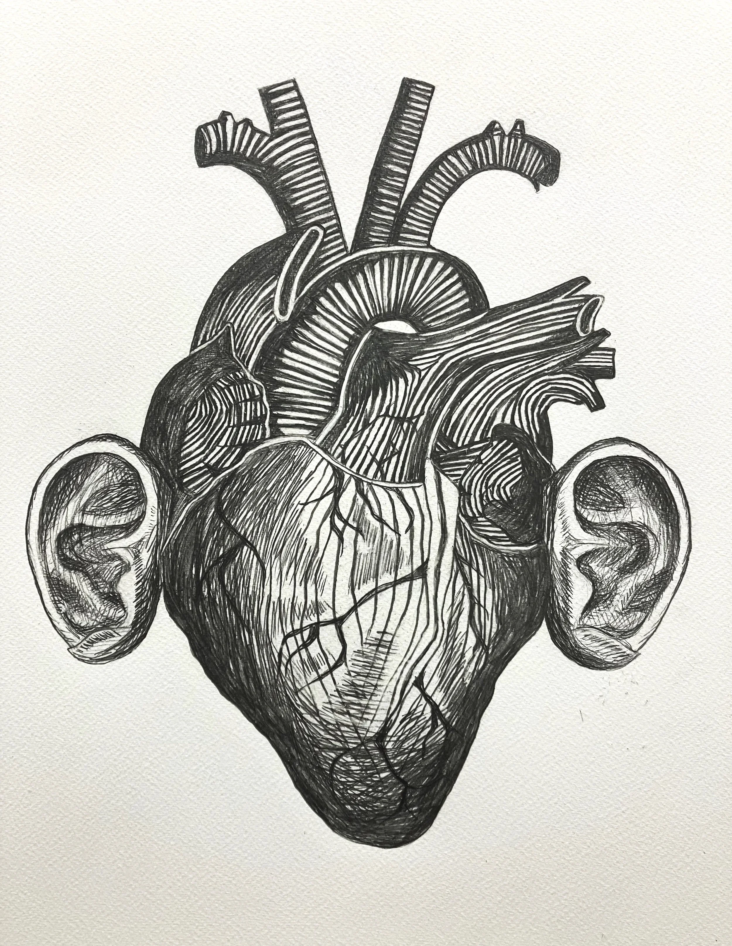 Black and white drawing of a human heart with ears attached to its sides and anatomical structures including arteries and veins.
