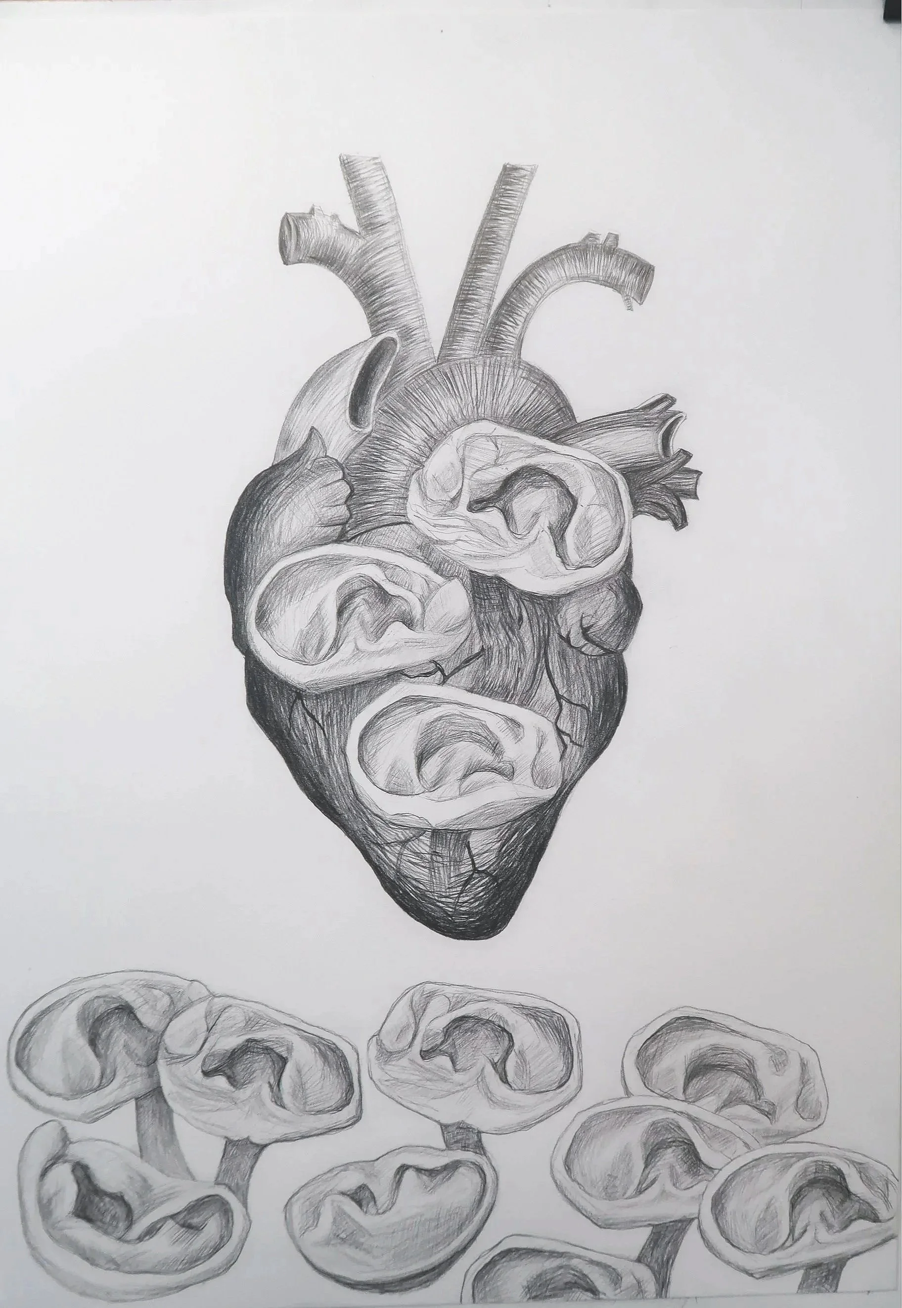 Drawing:  "Heart & Ears" 2024
700mm (H) x 500mm (W)