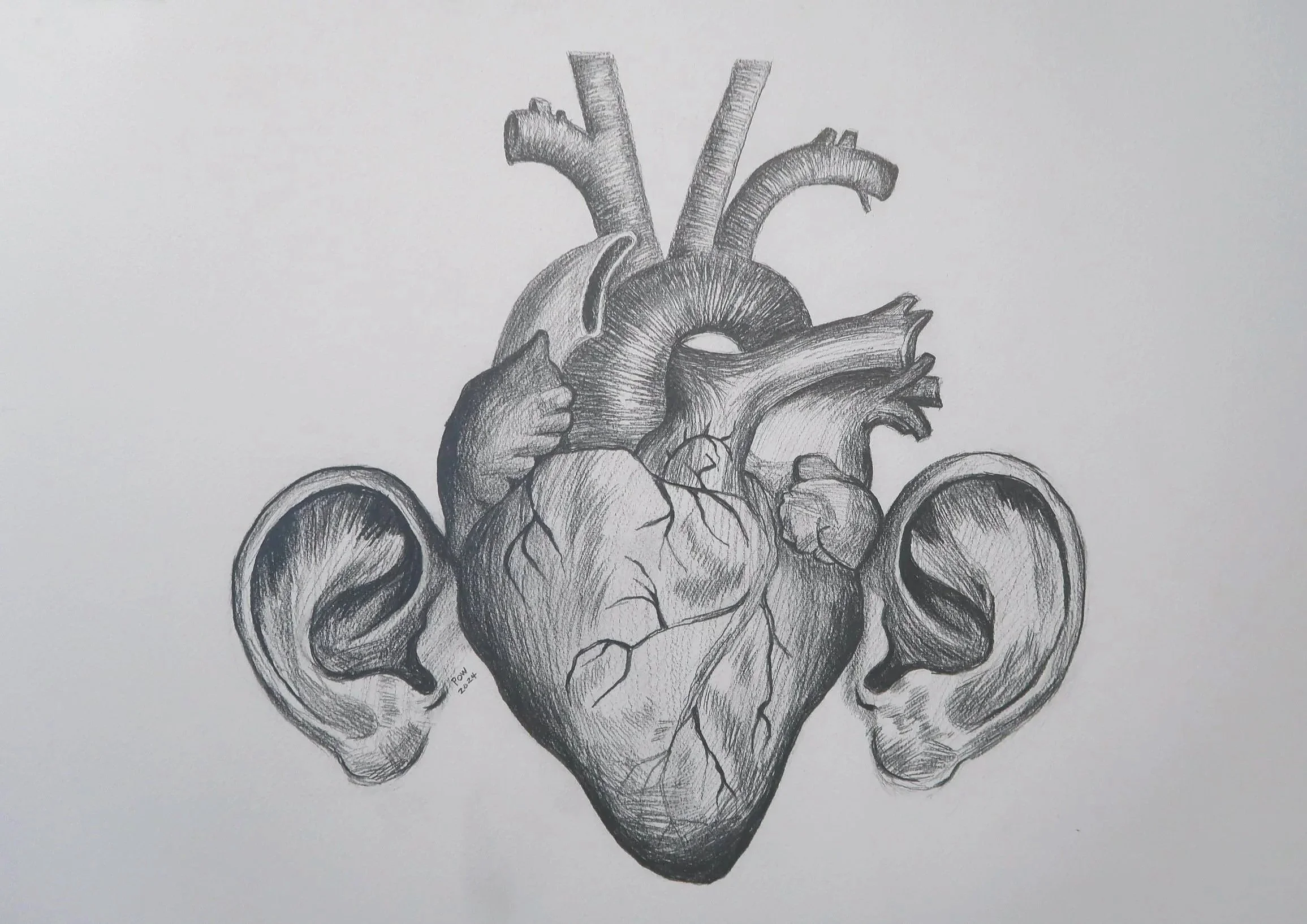 Drawing: "Listen to the Heart" 2024
560mm (H) x 760mm (W)