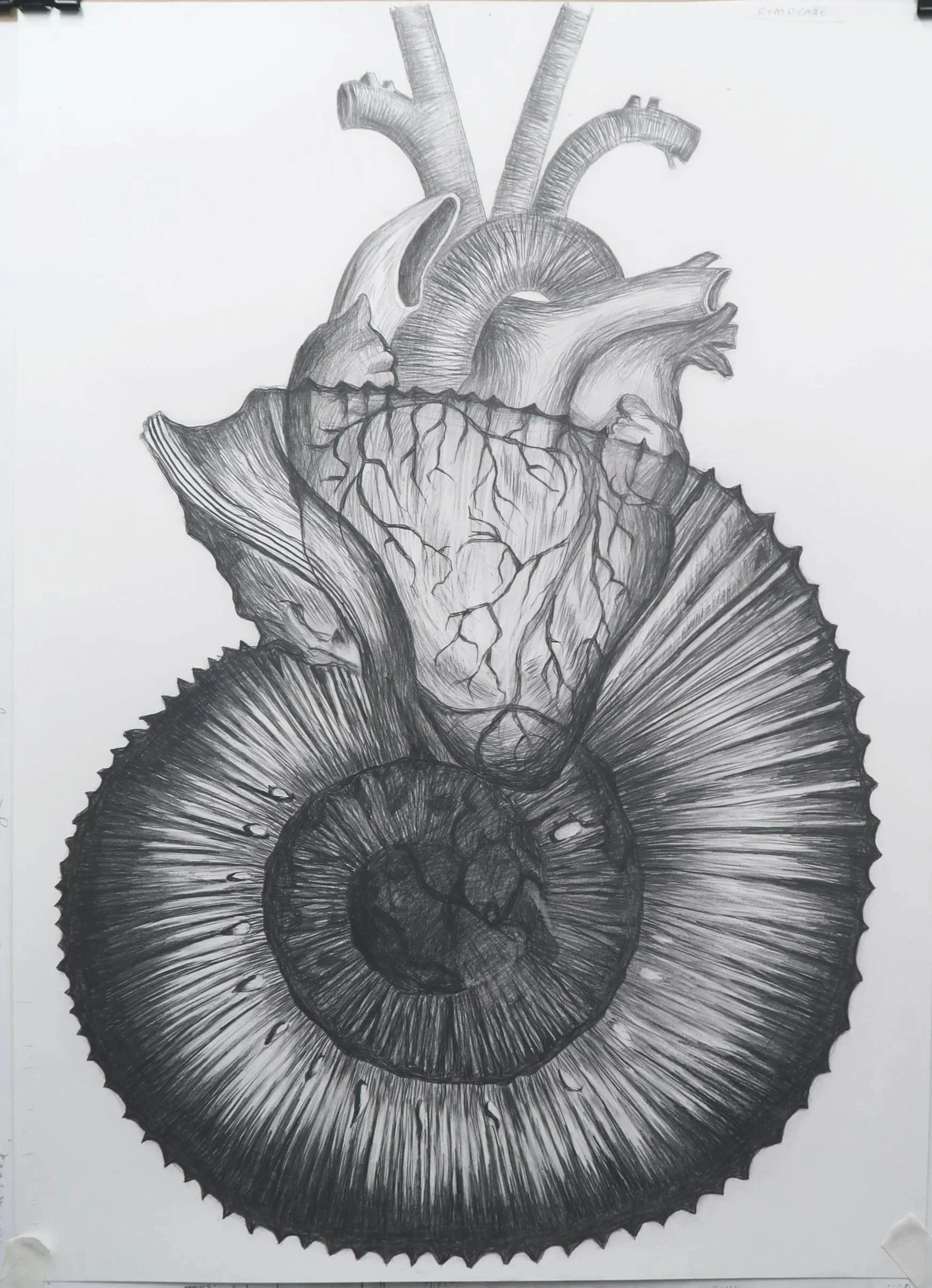 Drawing: "Heart and Spiral" 2024
700mm (H) x 500mm (W)