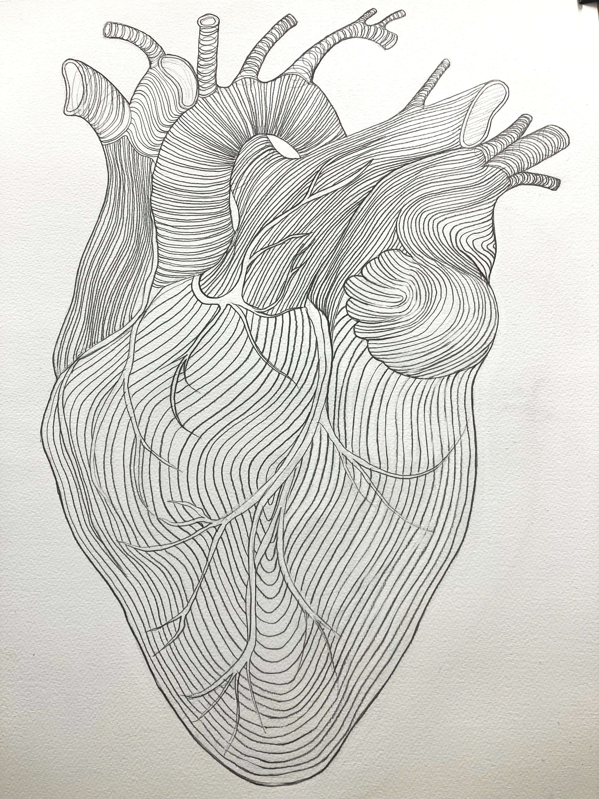 Drawing "Heart of a line" 2025
760mm (H) x 560mm (W)