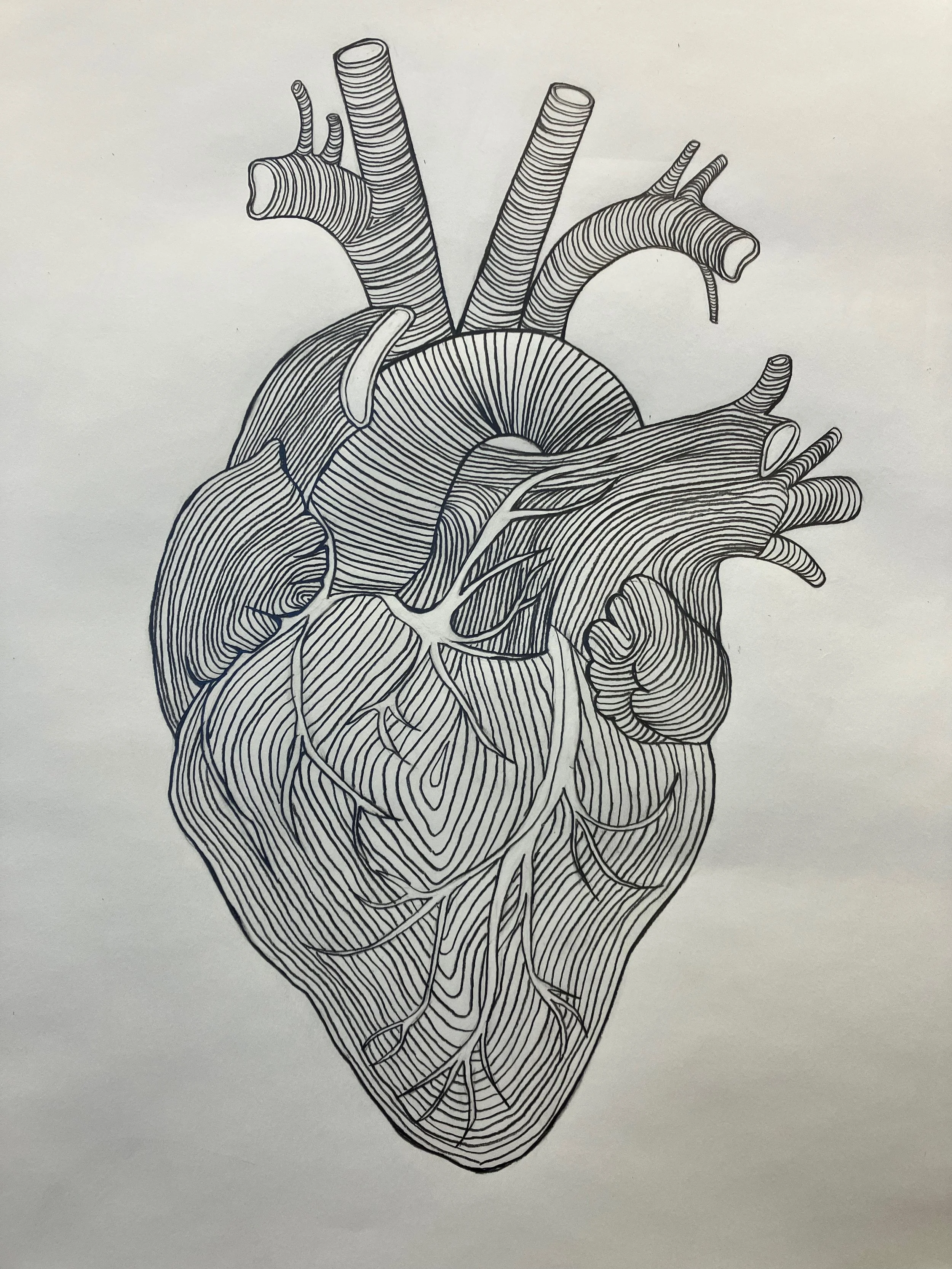 Drawing "Curve Ball" 2025
650mm (H) x 500mm (W)