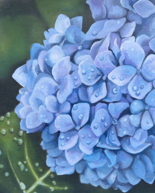 hydrangea.png