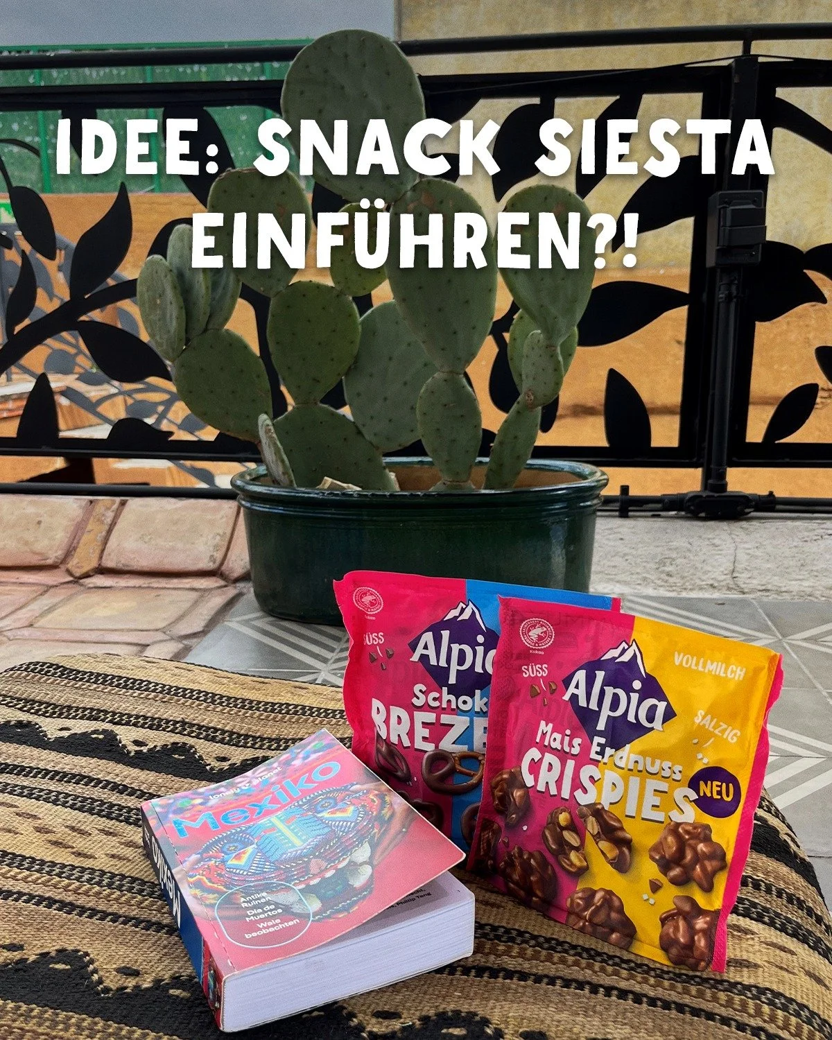 K&ouml;nnen wir bitte kurz dar&uuml;ber reden, warum eine zweist&uuml;ndige Snack-Siesta noch kein festes Ritual ist? 👀🌵 Wir h&auml;tten da n&auml;mlich schon ziemlich gute Pl&auml;ne und w&auml;ren startklar. 🍫

#alpia #chocverliebt #siesta #scho