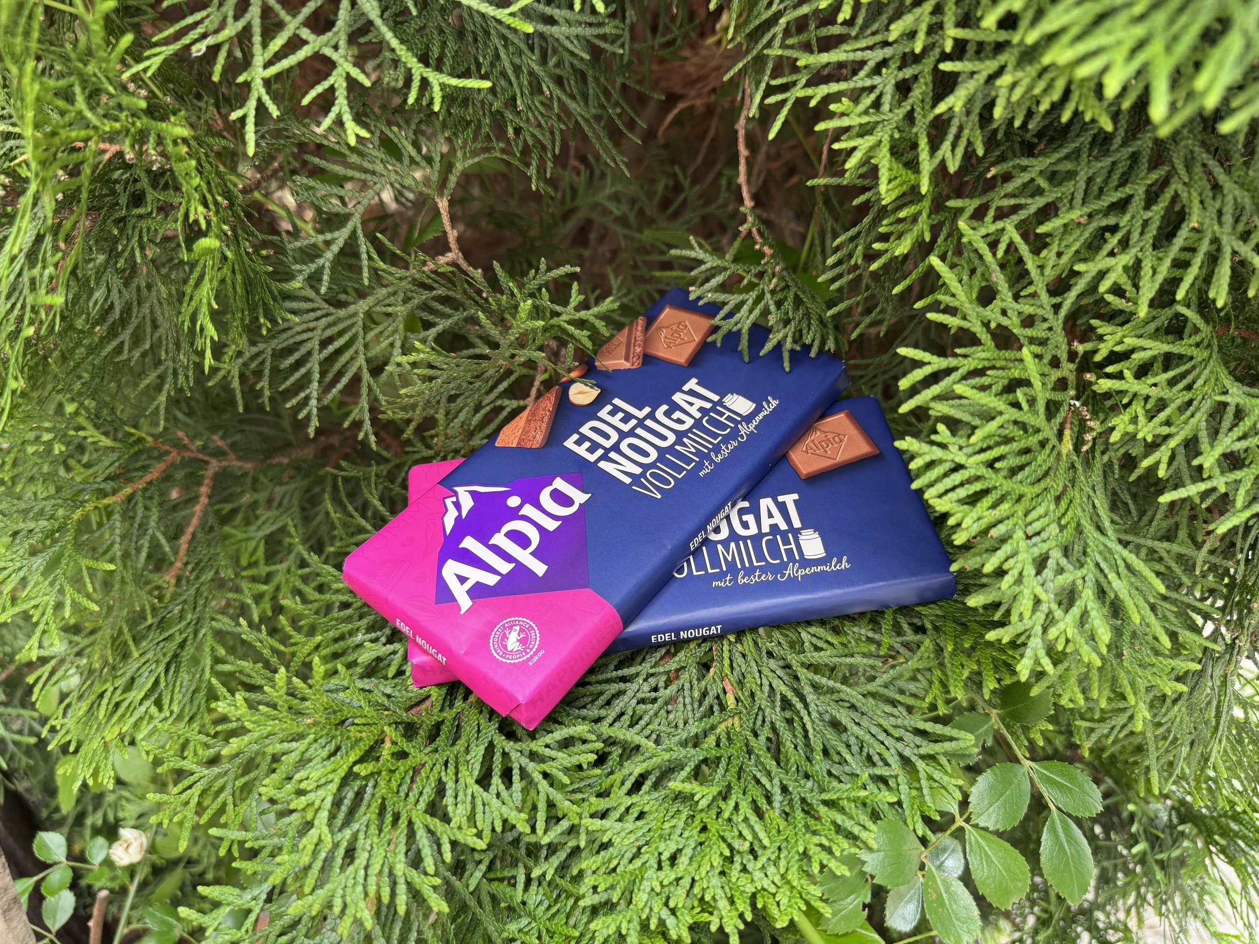 Alpia Edel Nougat Schokoladentafel im Tannenbaum