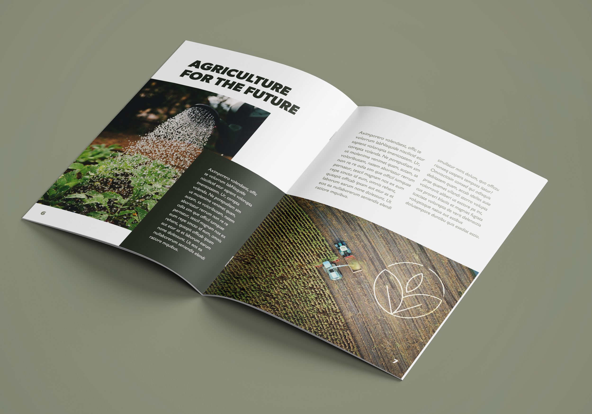 A4_Brochure_Mockup_ 2Nd page.png