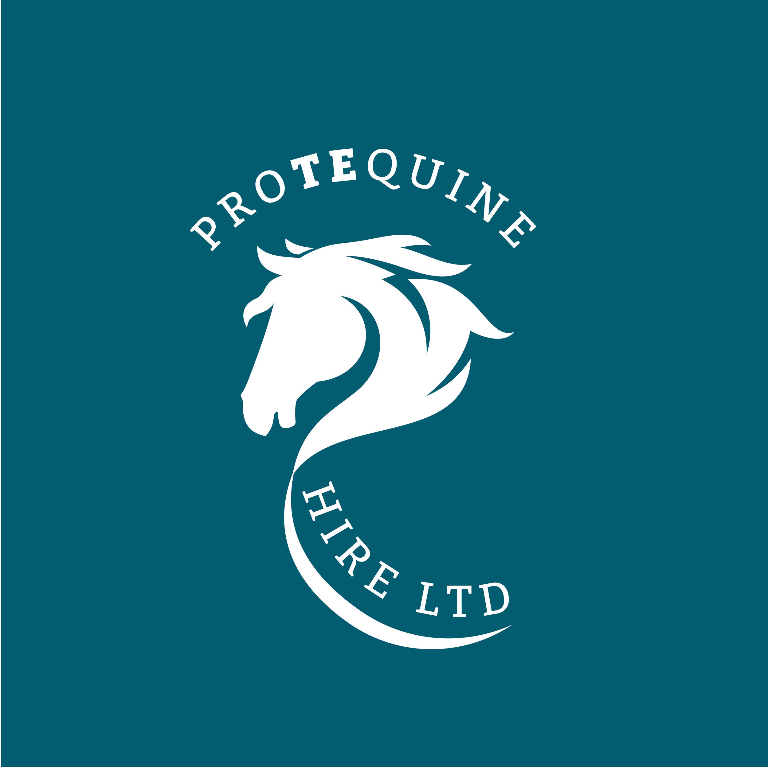 Bryony Judge Equine Logo-White.jpg