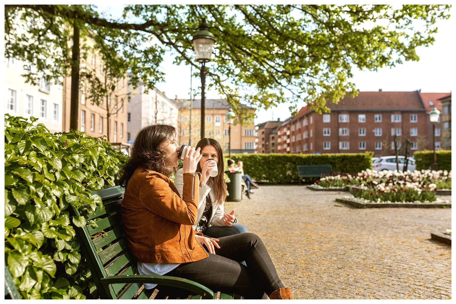 malmo8.jpg