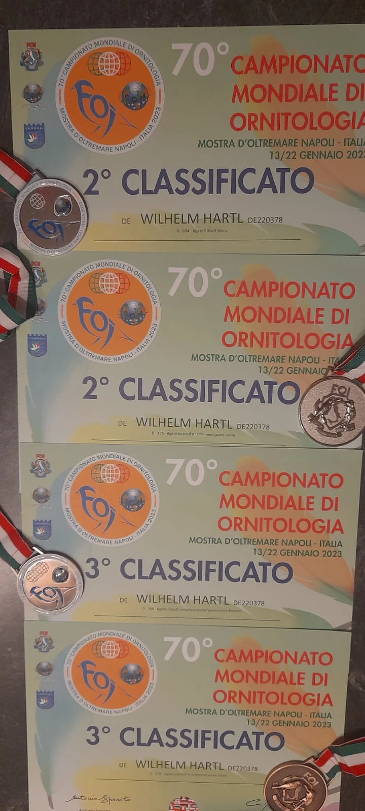 27f2ca_577407408c4c4d228c0b80057f6240e7~mv2.png