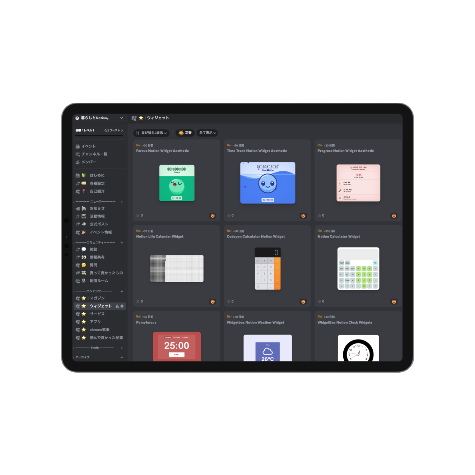 discord_widget.png