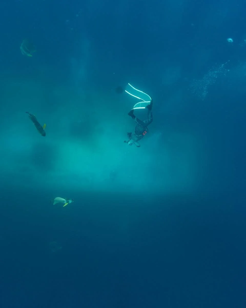 Discover the ex HMAS Tobruk on one breath!

Trips this month are on,

Sunday 15/06
Sunday 29/06

These dates are for qualified freedivers and will include depth training up to 28m along side the wreck and weather permitting free swimming all 127m of 