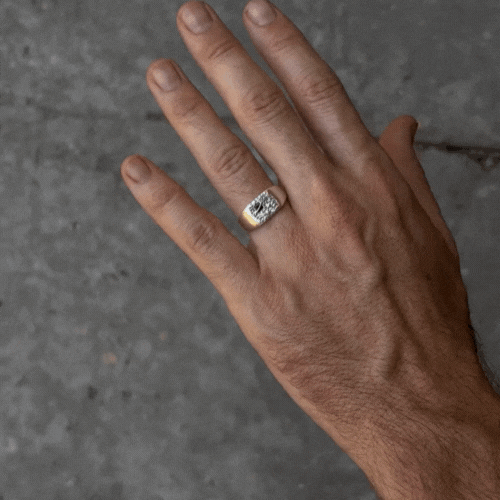 Kingsley ring mov.gif