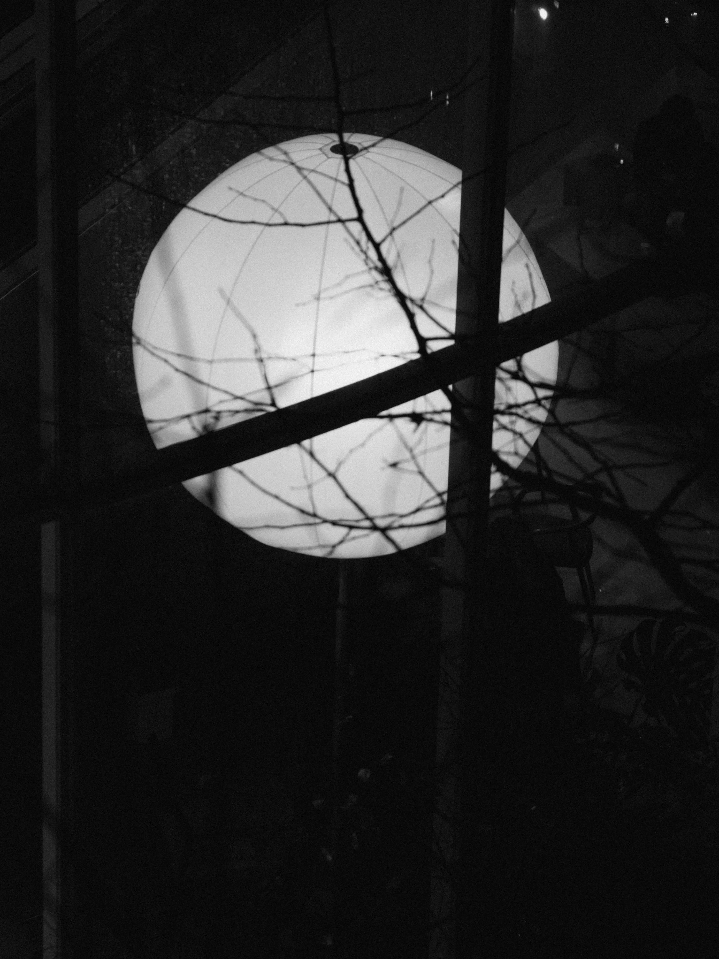 Black and white photo of a glowing moon seen through tree branches and window frames at night.