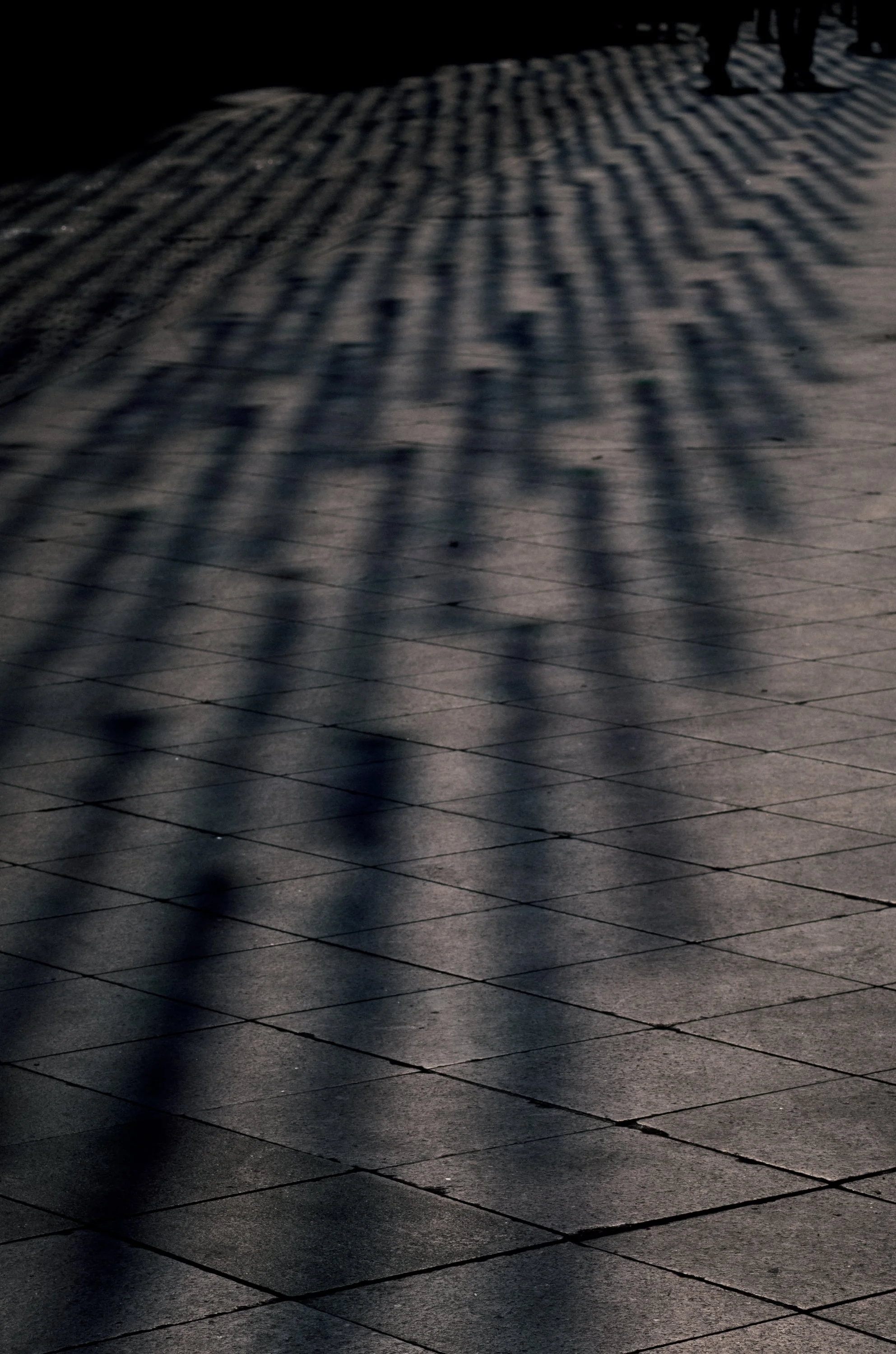 Shadows of people cast on a paved outdoor floor in sunlight.