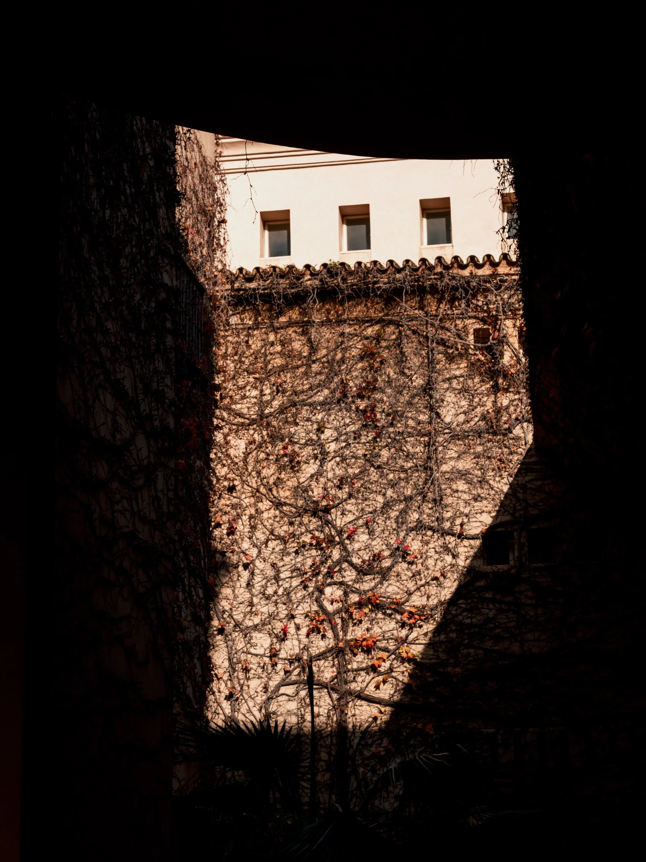 View of a building with white walls, small windows, and a tiled roof, seen through a dark archway with vines and leafless branches.