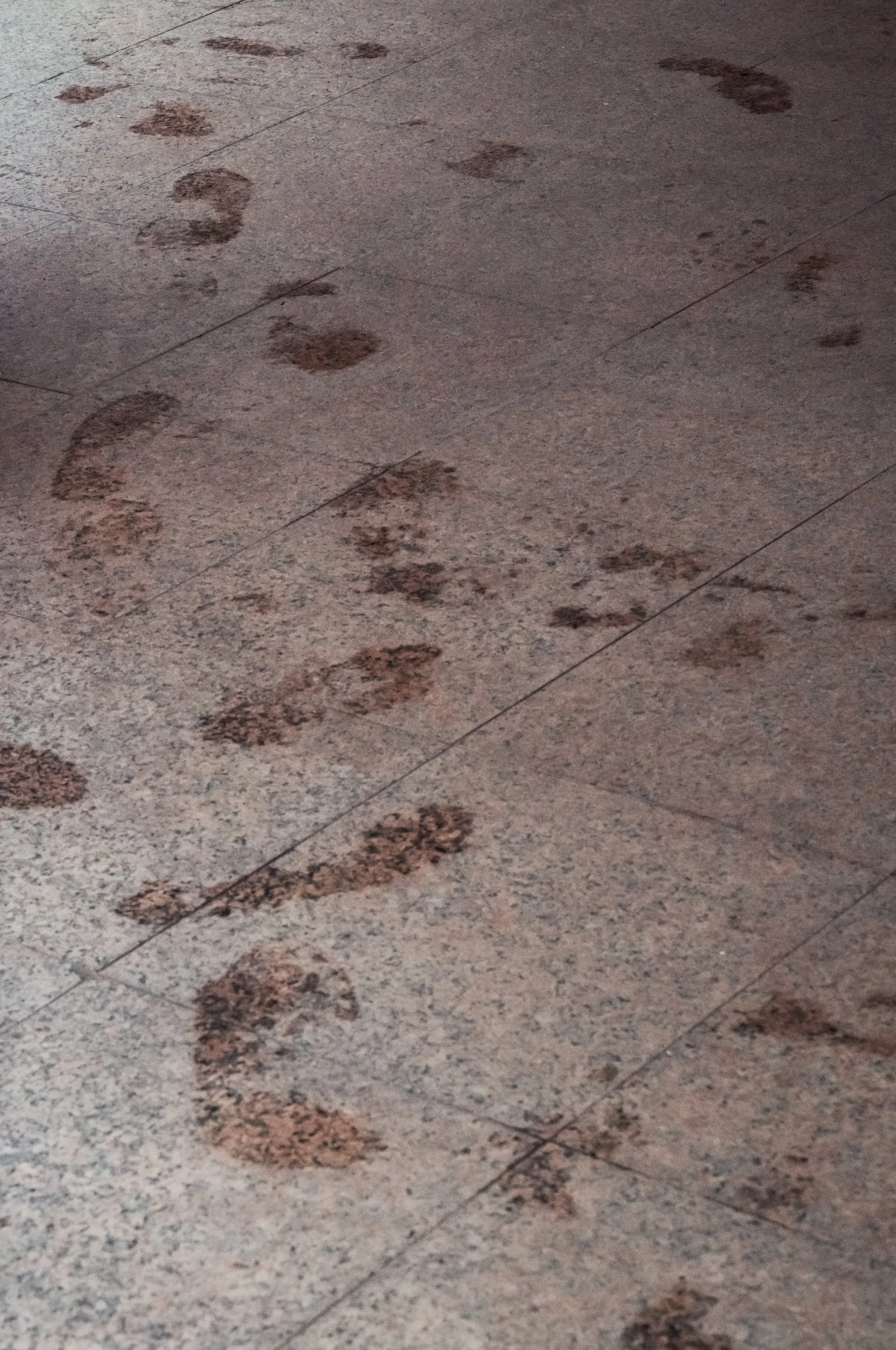 Footprints of a person, with some appearing wet or muddy, on a tiled floor.