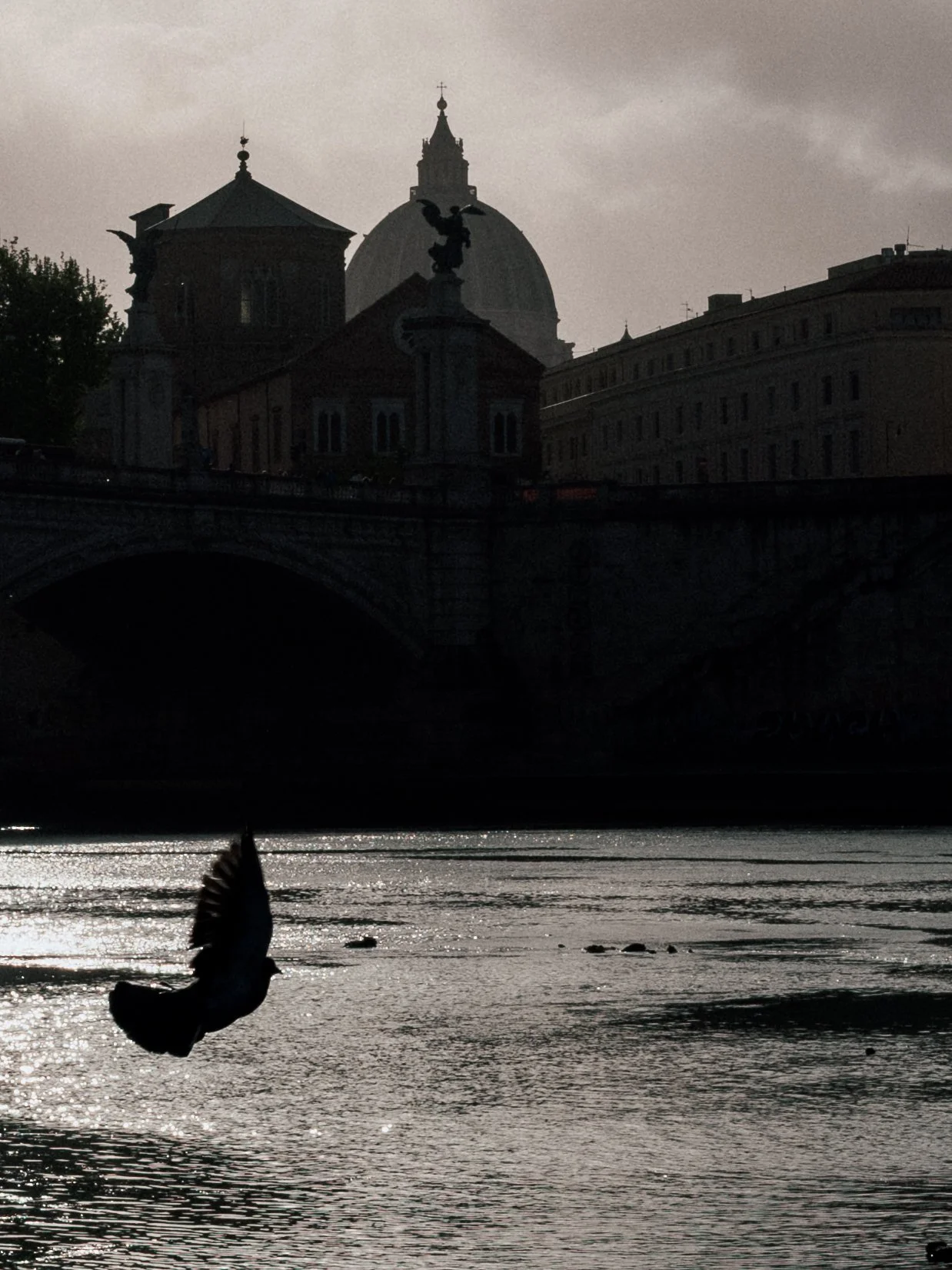 Silhouette of a bridge with a statue on it, water reflecting light, and a bird flying in the foreground with buildings and a domed church in the background during dusk or dawn.