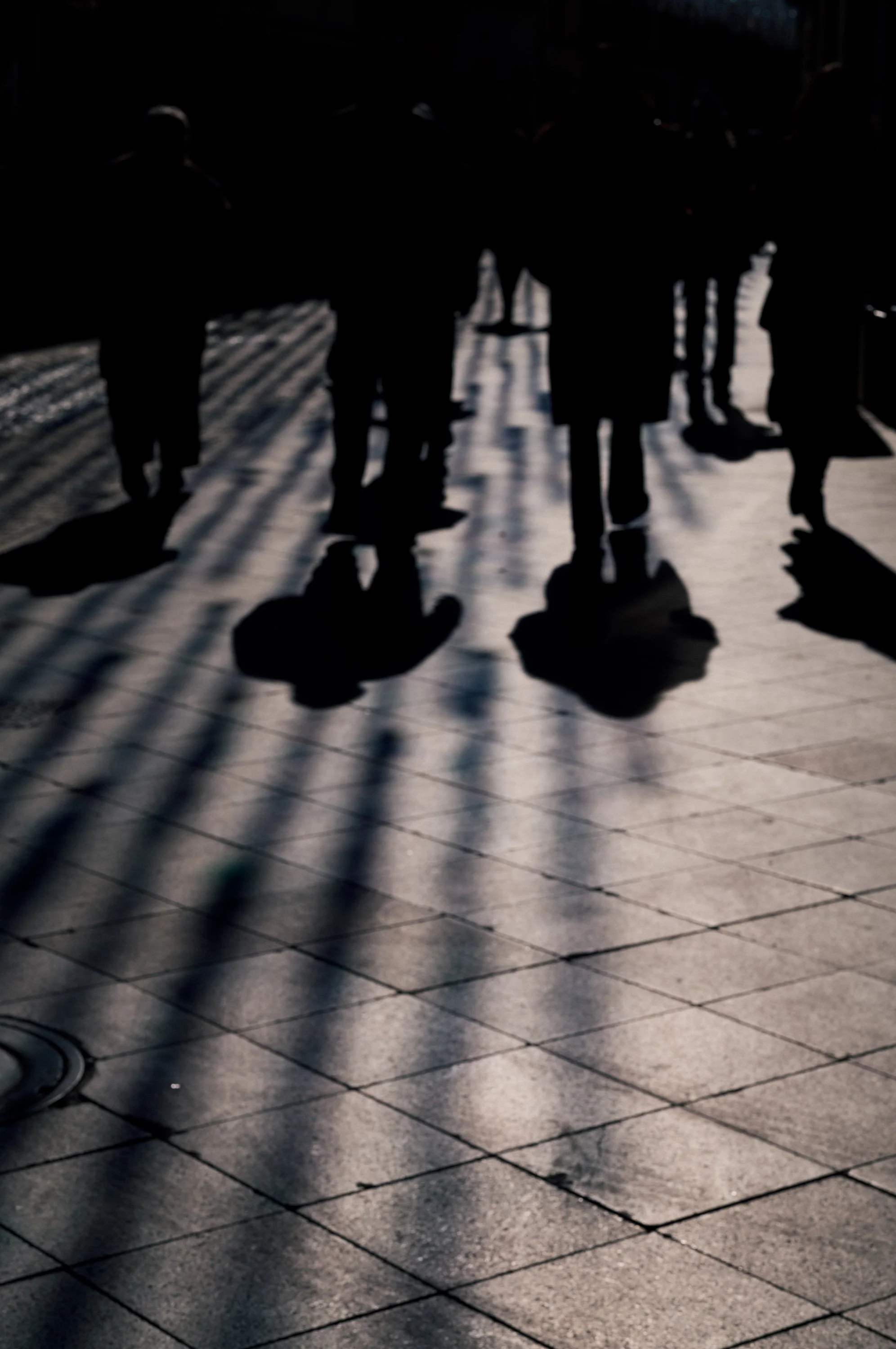 Silhouettes of people walking outdoors on a paved surface with shadows cast by sunlight.