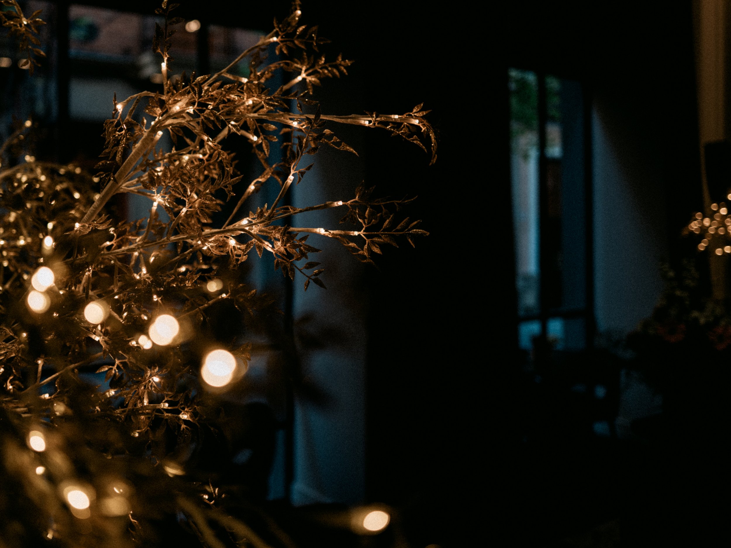 A dark room decorated with a tree or branches wrapped with string lights, creating a warm glow. There are windows in the background showing some greenery outside.