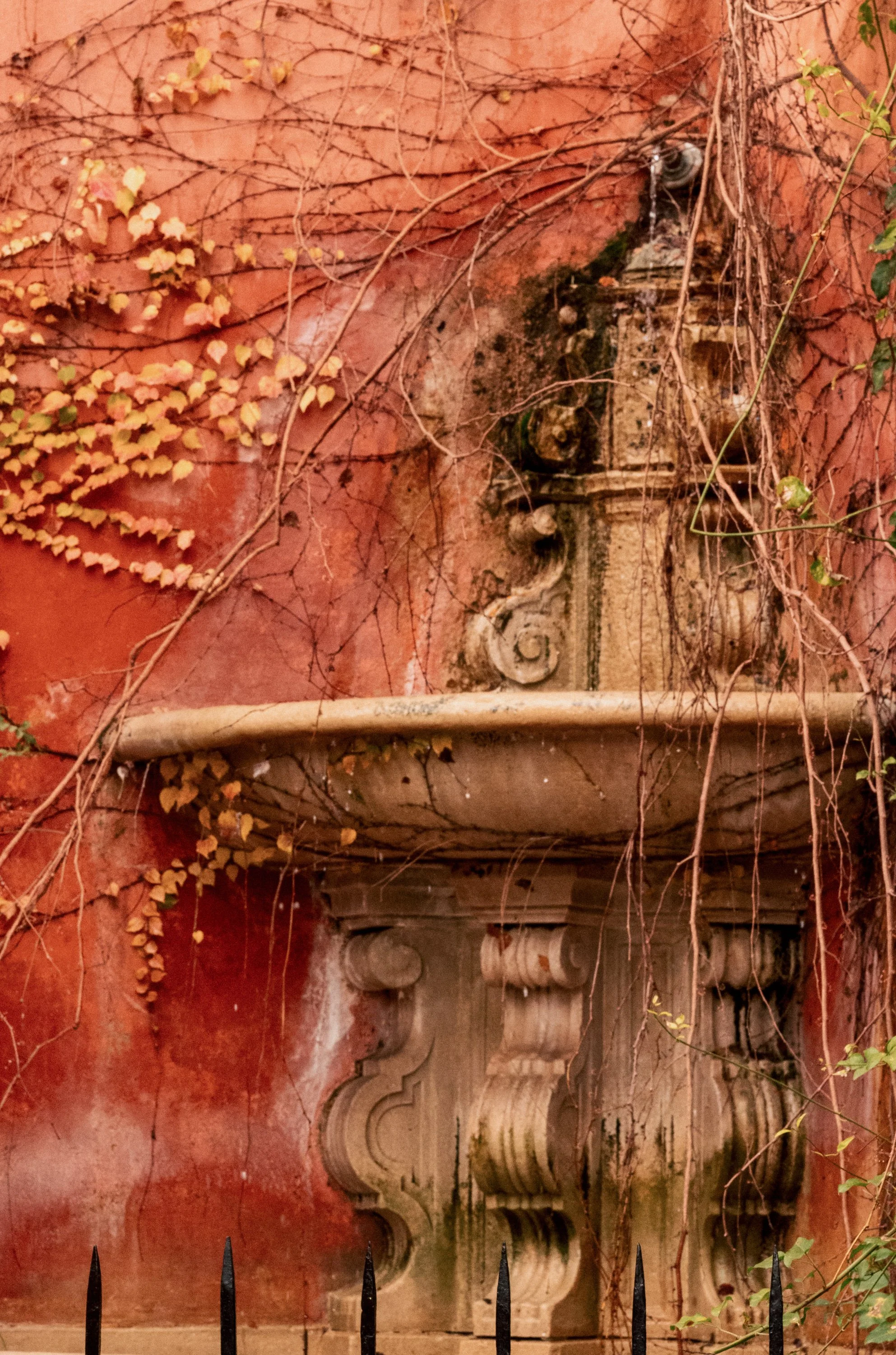 An ornate stone fountain attached to a red wall, surrounded by vines and dried leaves.