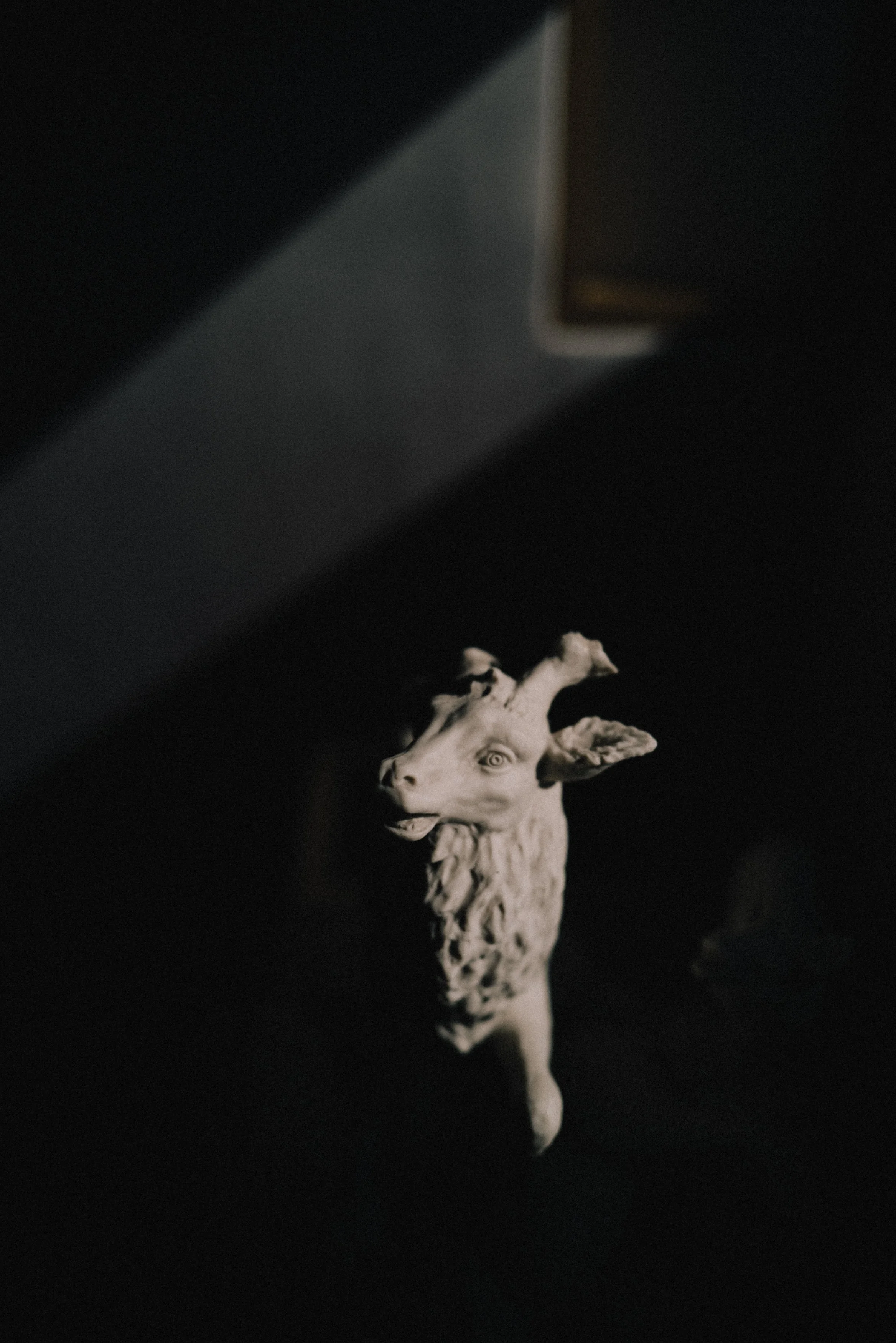 A white plaster head of a goat sculpture with detailed facial features and textured beard, against a dark background, illuminated with a beam of light.