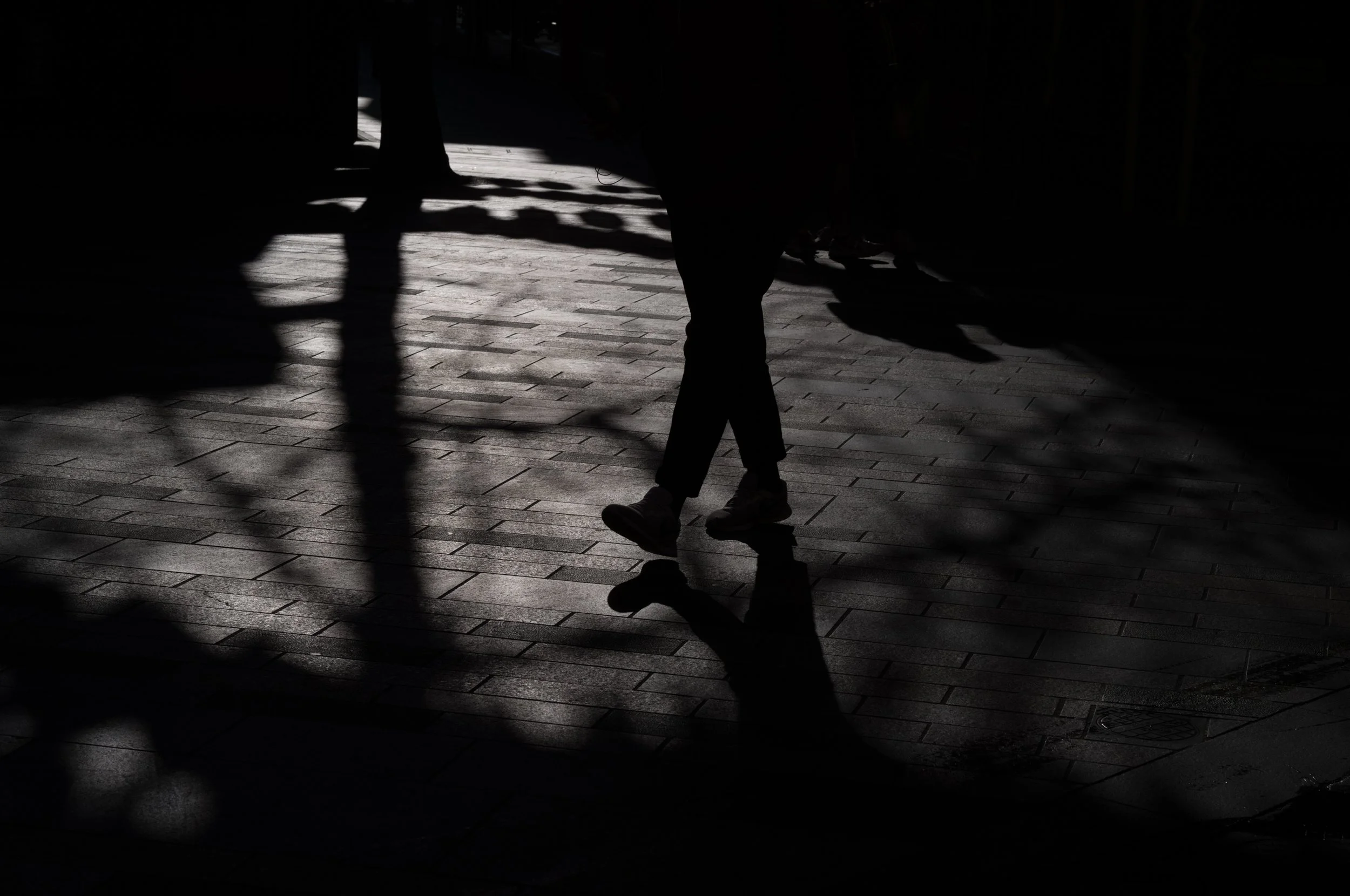 Silhouette of a person walking on a brick sidewalk with shadows cast by nearby trees, in a dark area with some light lighting up part of the scene.