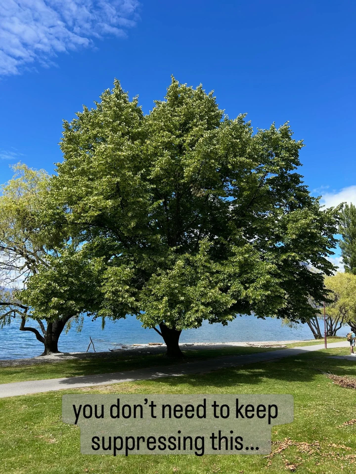 Pause with me for a moment&hellip;

What&rsquo;s been sitting underneath the surface lately?

There&rsquo;s wisdom in what you&rsquo;re feeling&hellip;
listen to it, trust it.

Much love 💛