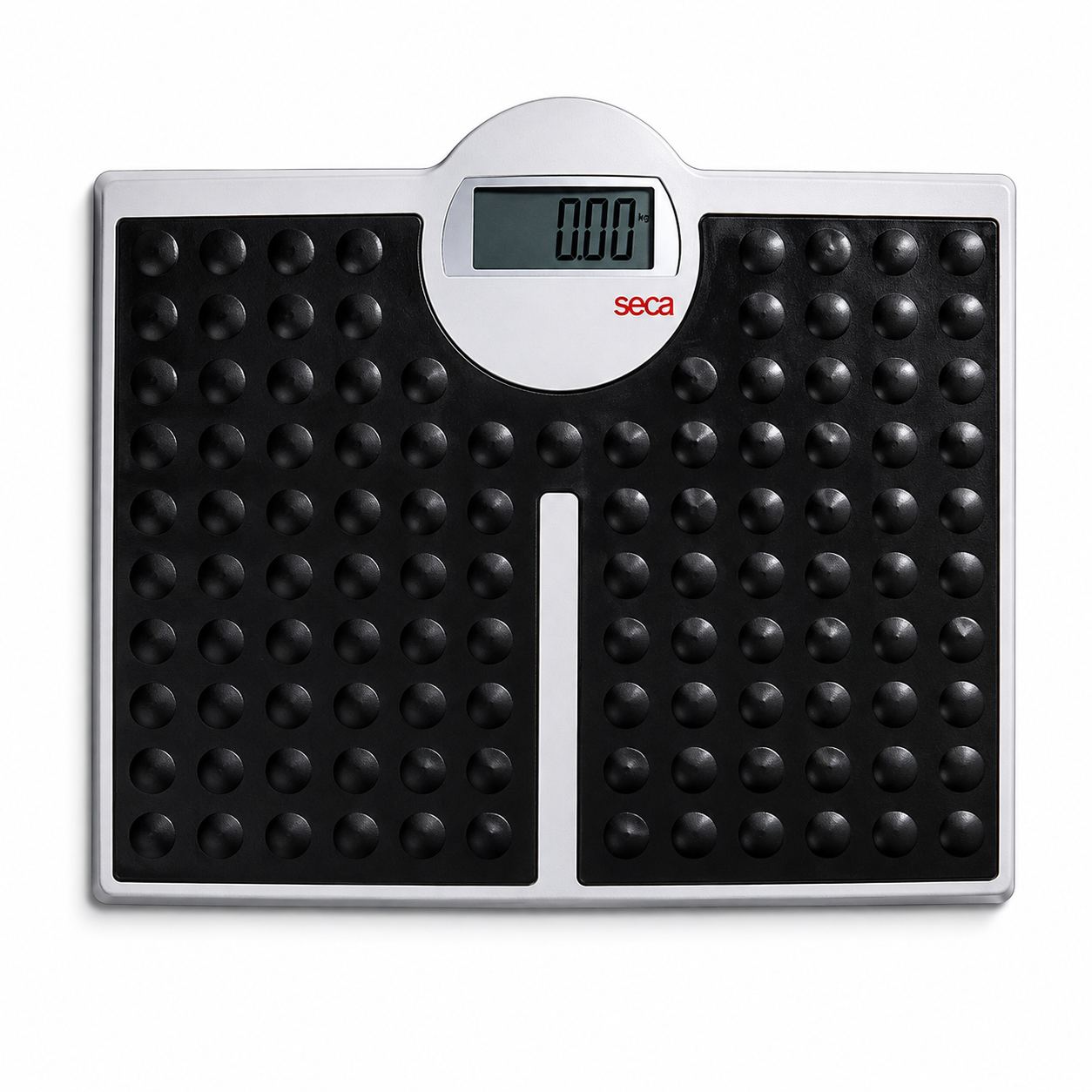 SCALE SECA 813 PROFESSIONAL FLOOR MODEL