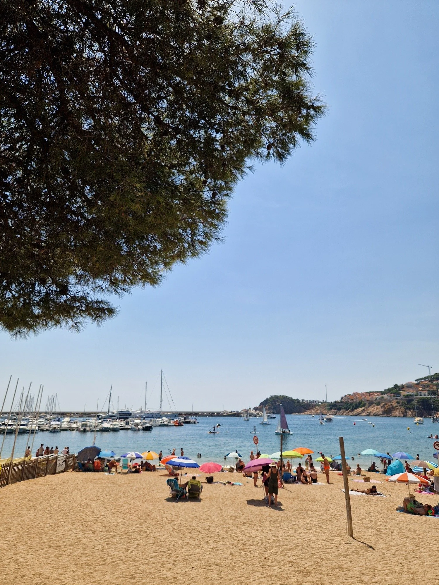 Beach SF.jpg