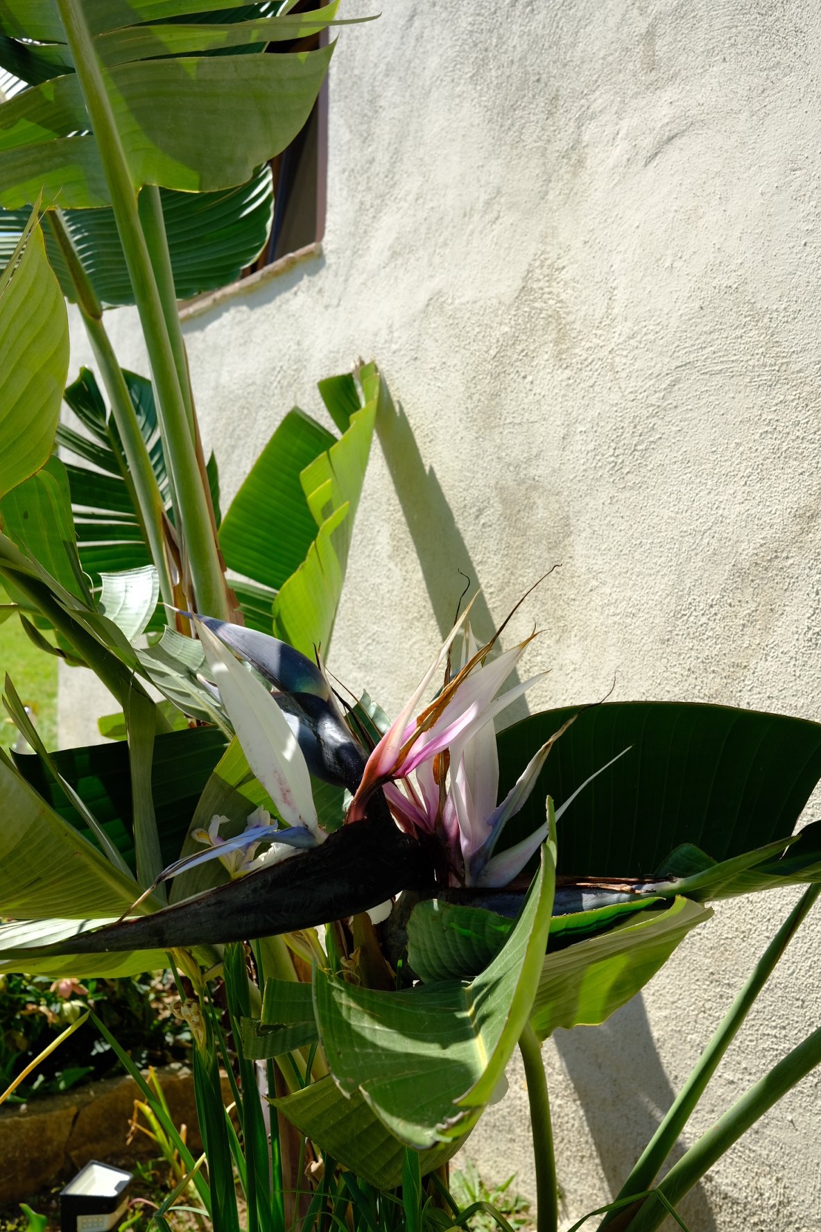 DSCF3641.JPG