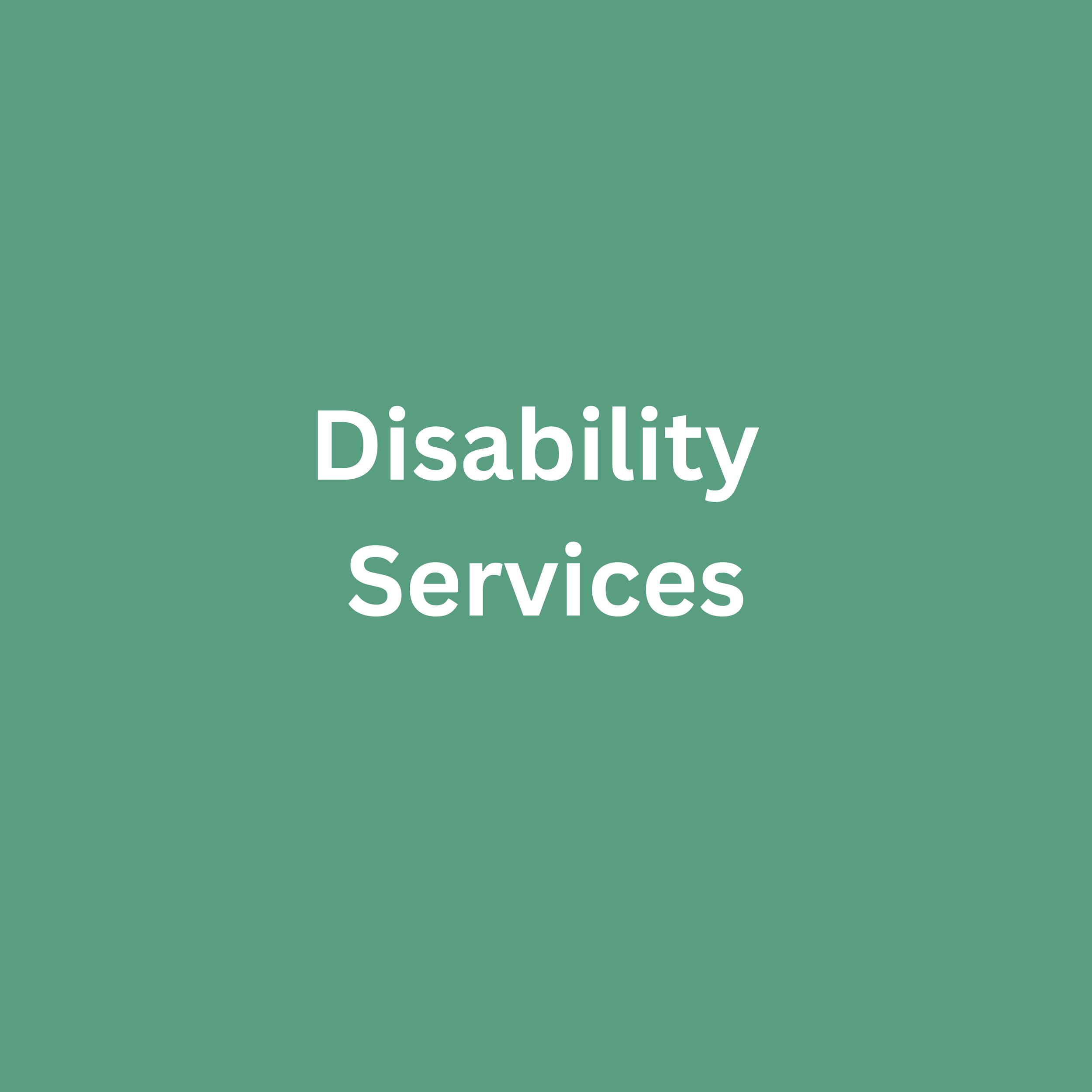 Disability Services-3.png
