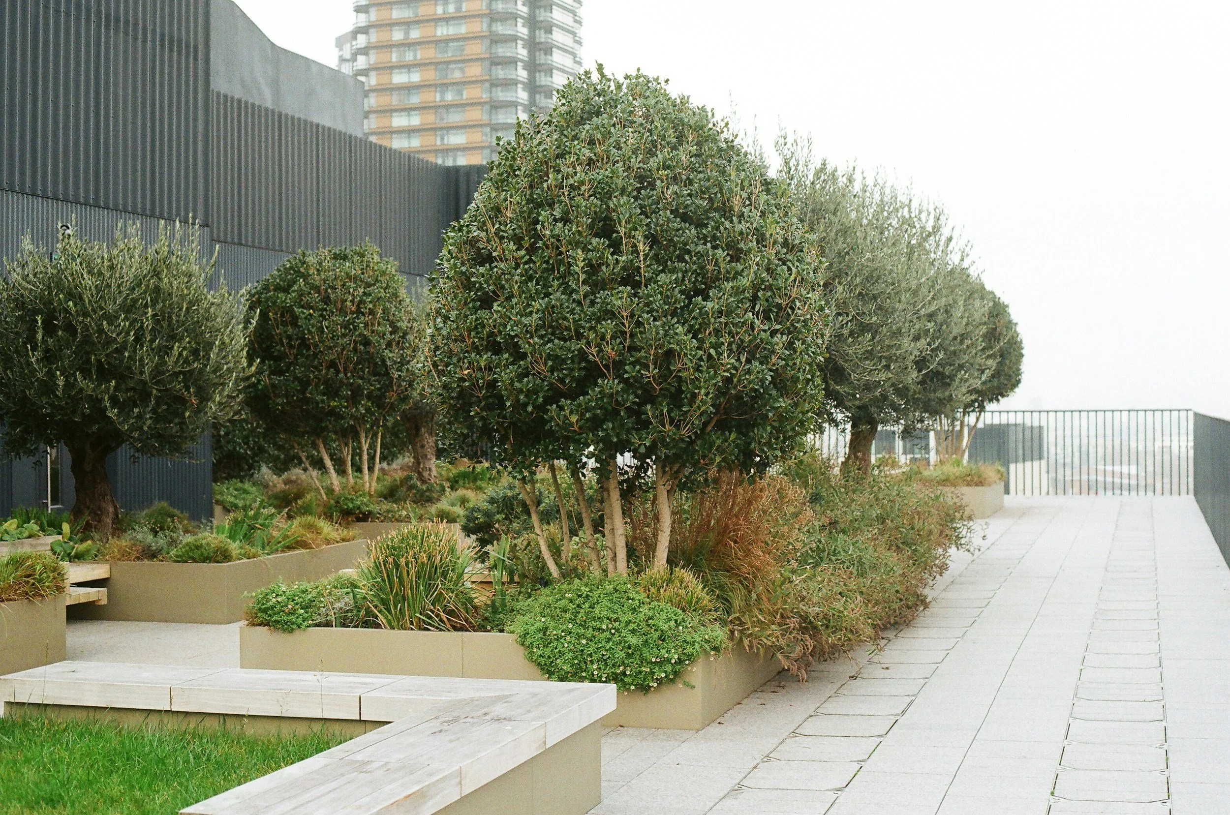 Intensive, Semi-Intensive and Extensive Green Roofs: Key Differences Explained