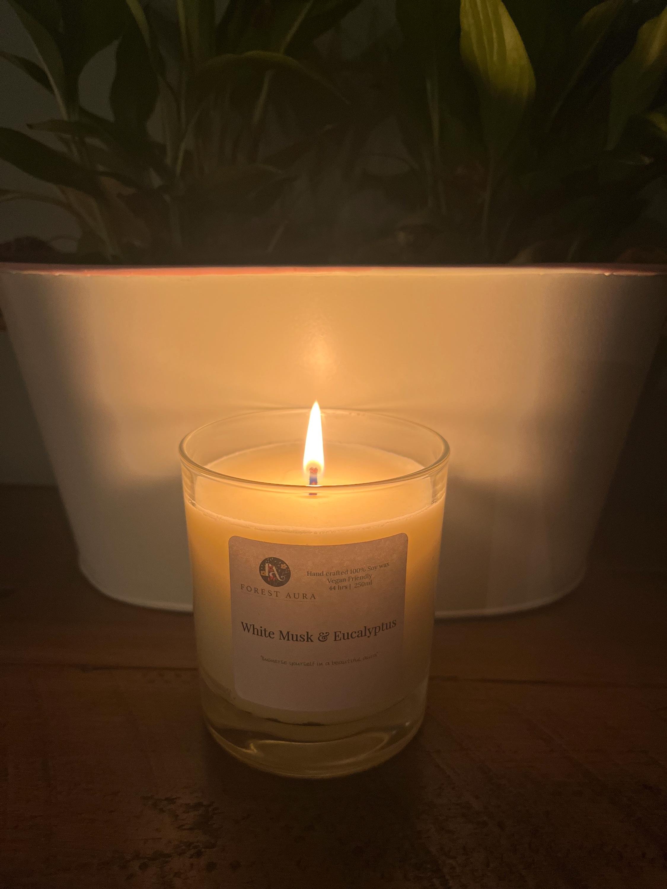 https://i.etsystatic.com/54978836/r/il/57914b/6583062754/il_fullxfull.6583062754_soba.jpg