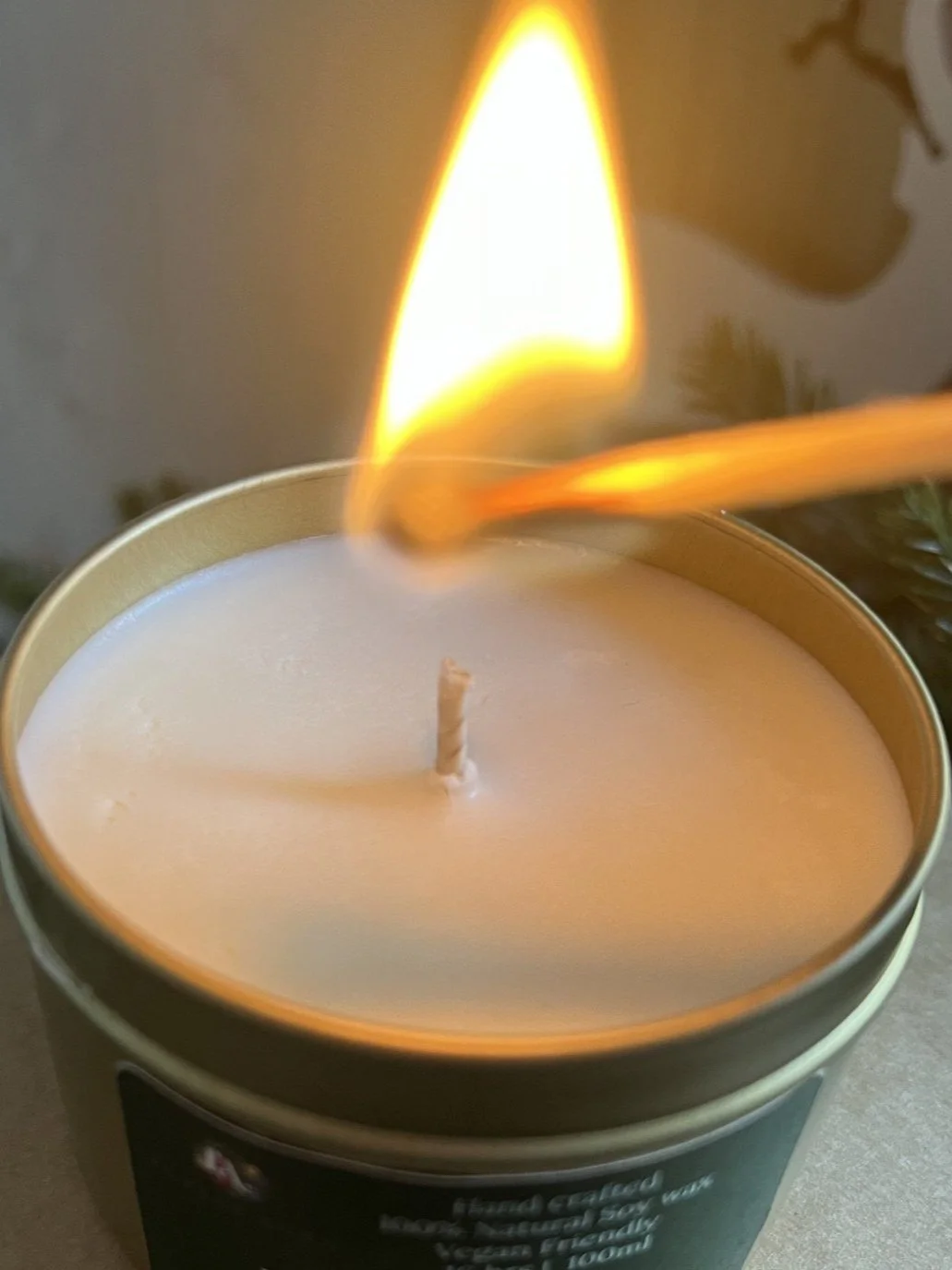 fireside5.jpg