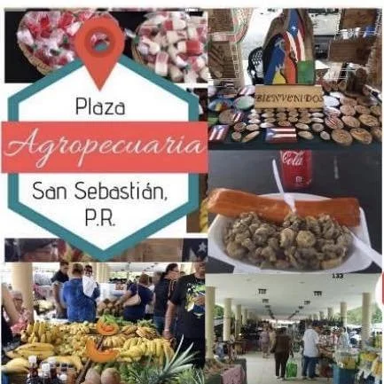 Centro Agropecuario de San Sebastian