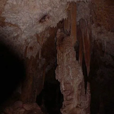 Cueva del Viento (Wind Cave)
