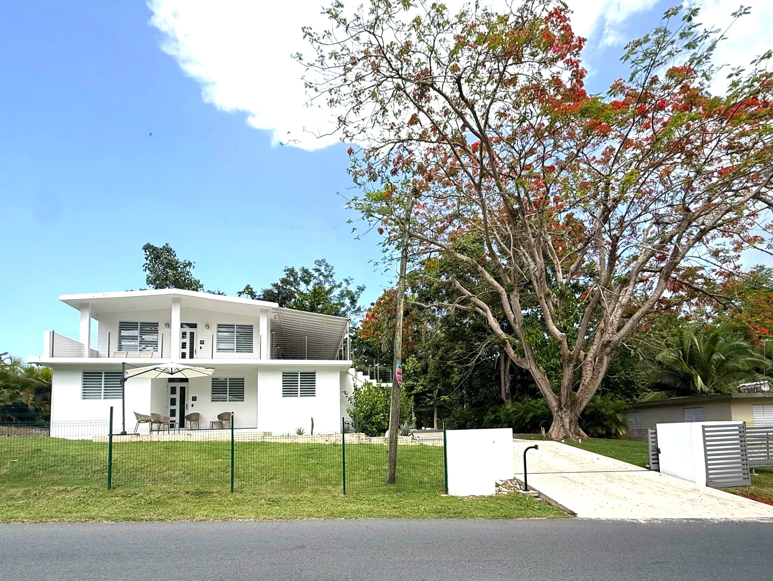 Full house and tree.jpg