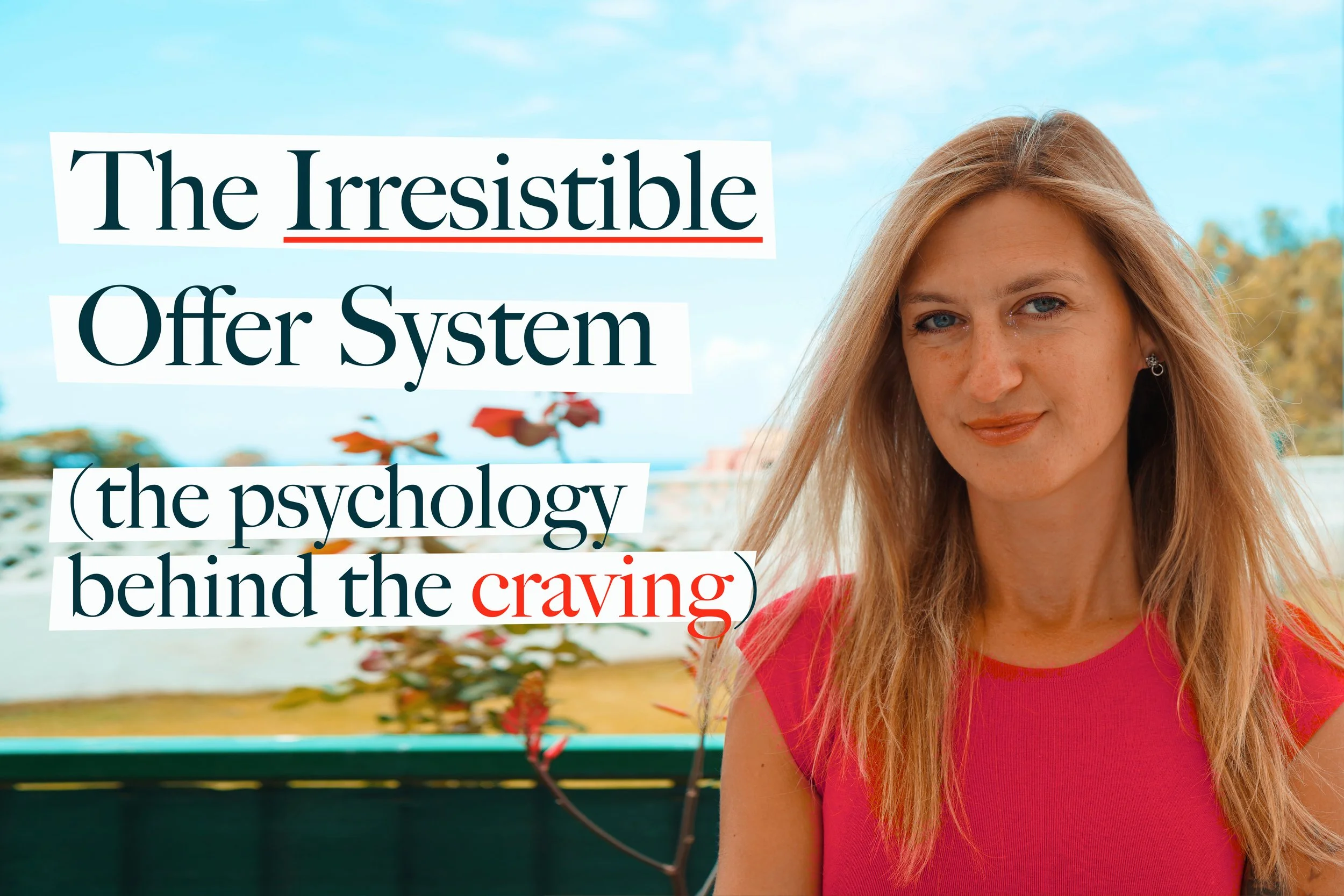 The Irresistible Offer System: How to create offers people actually want to buy