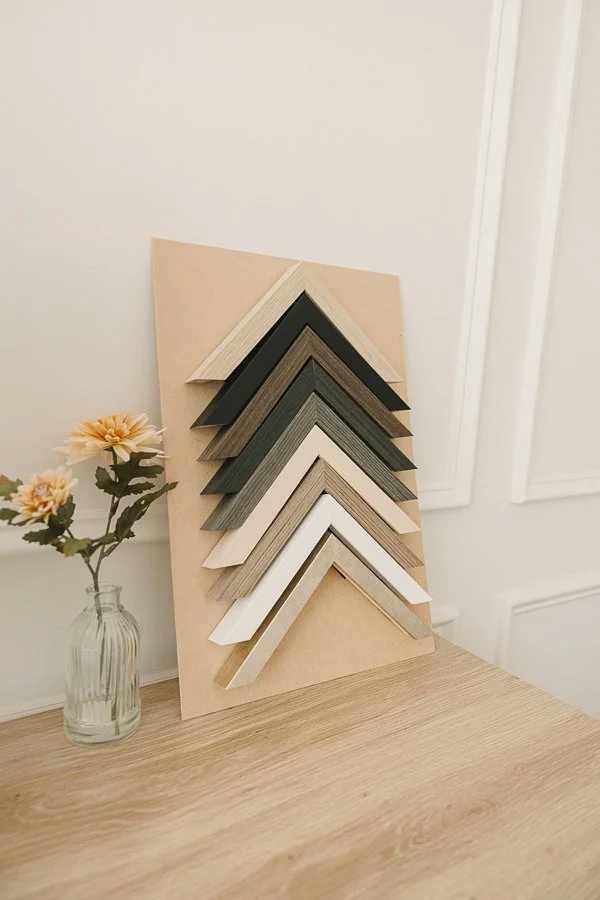 New Bern and Jacksonville Family Photography