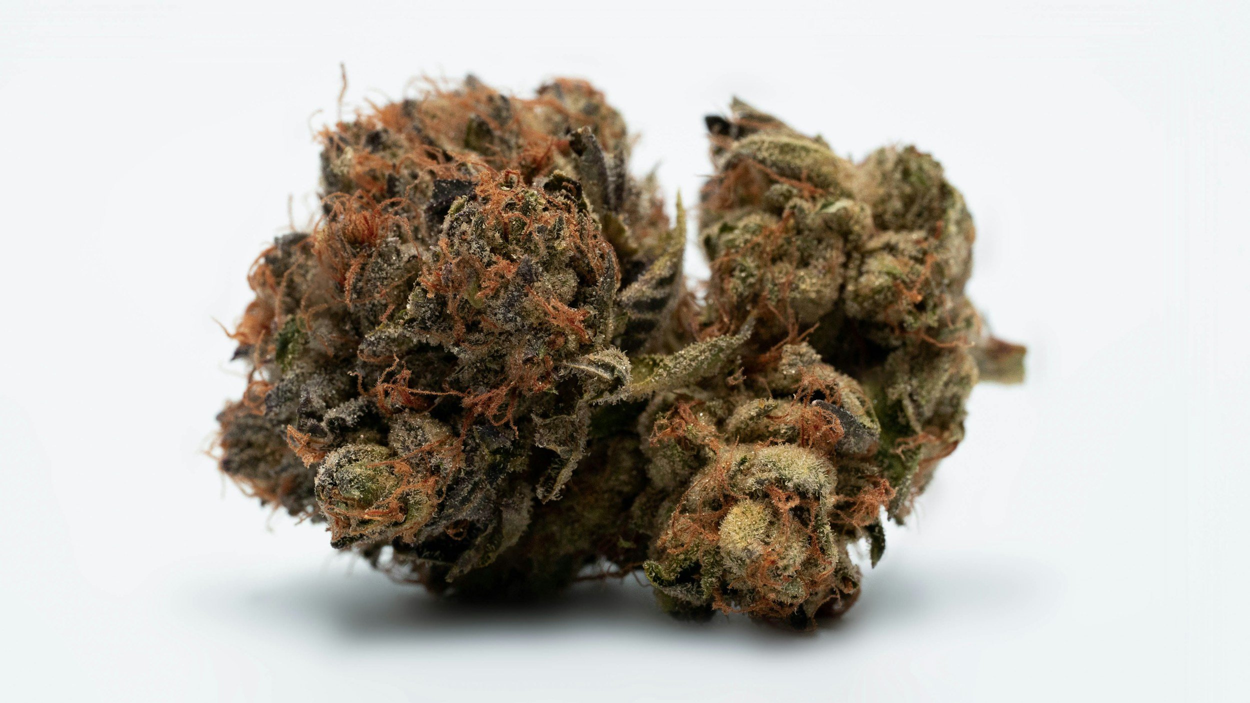 Cannabis-Laborbericht verstehen