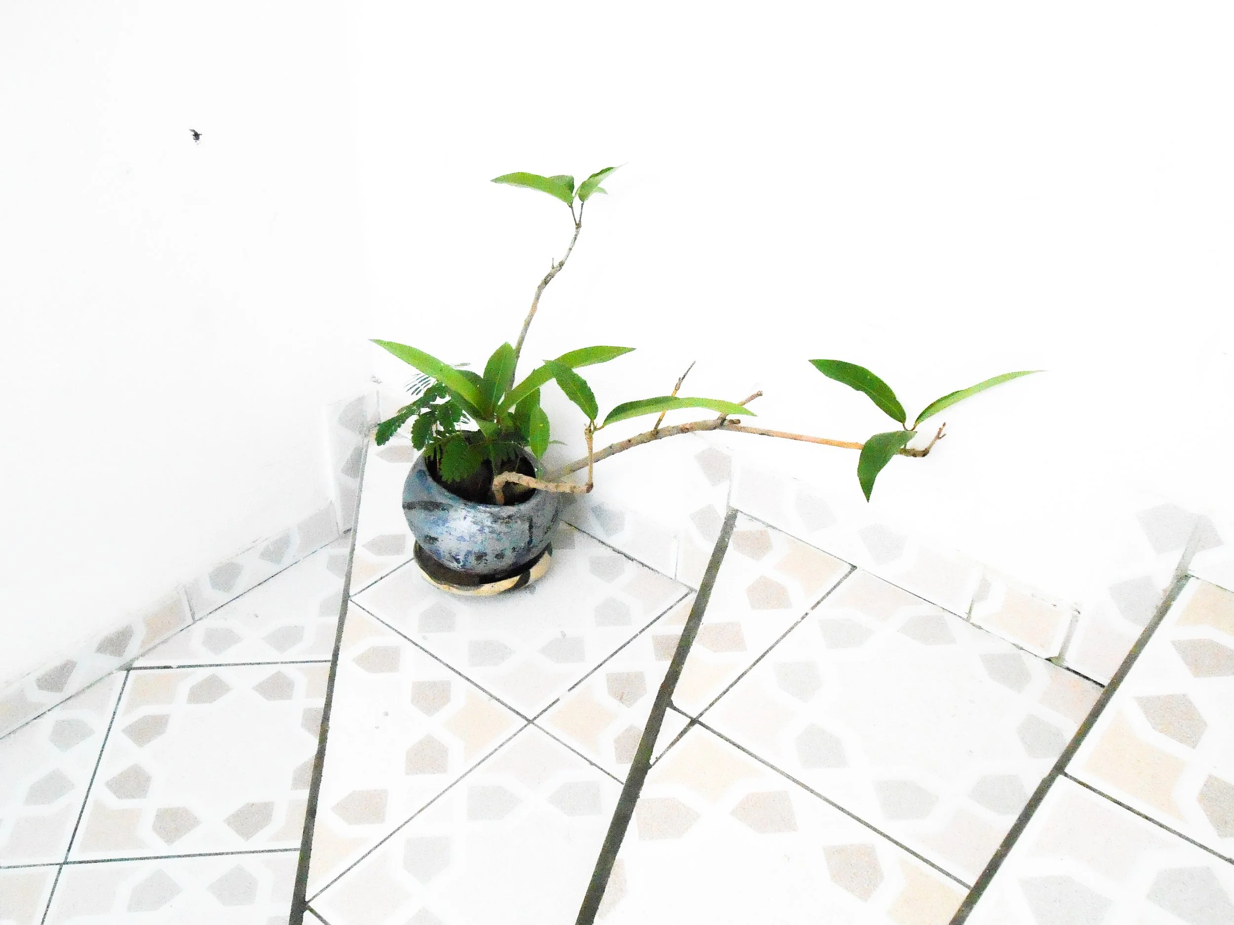 DSCN0427.jpg