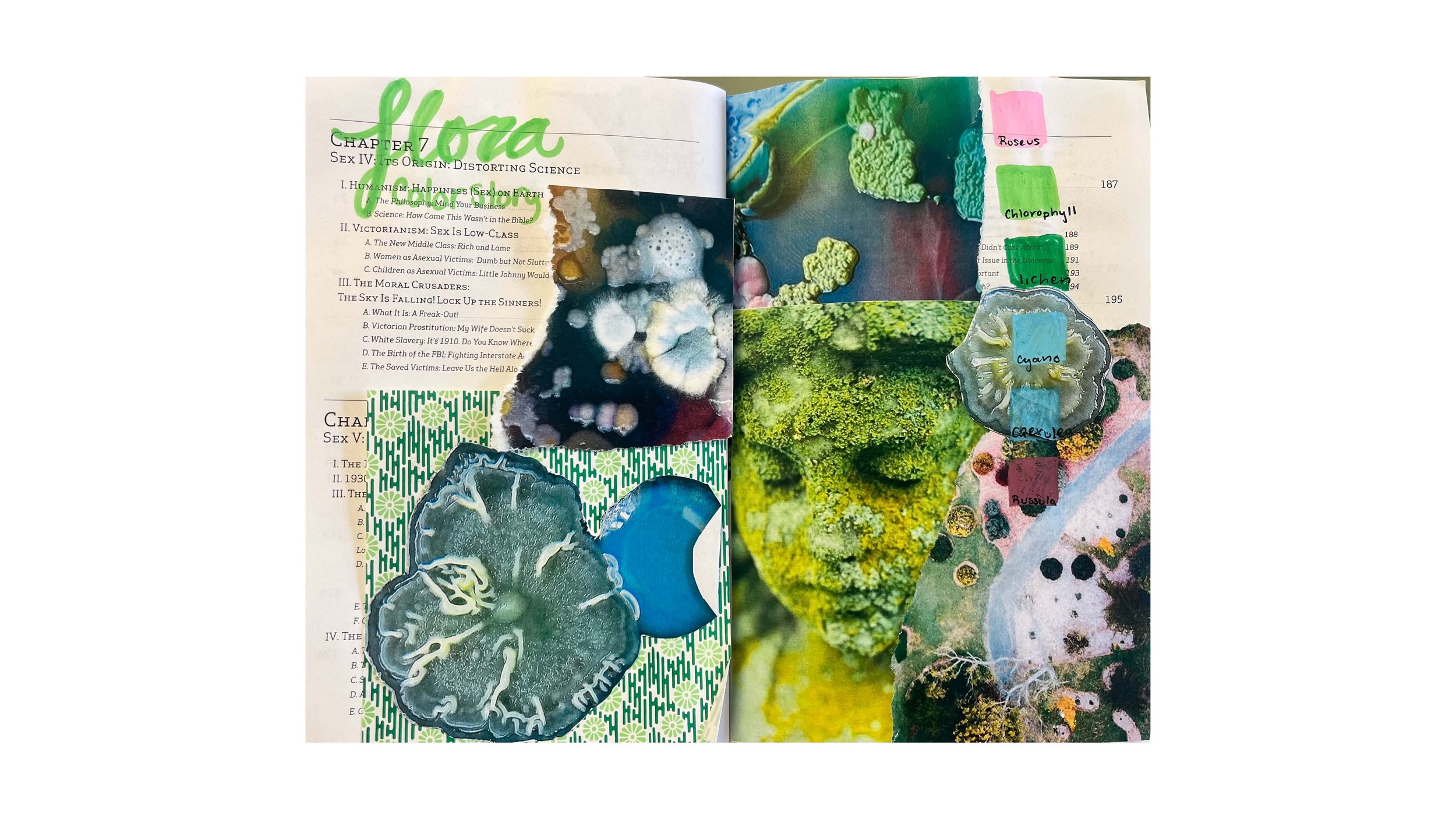 Riley Bushman_Fibr 190_Final Project_Page_05.jpg