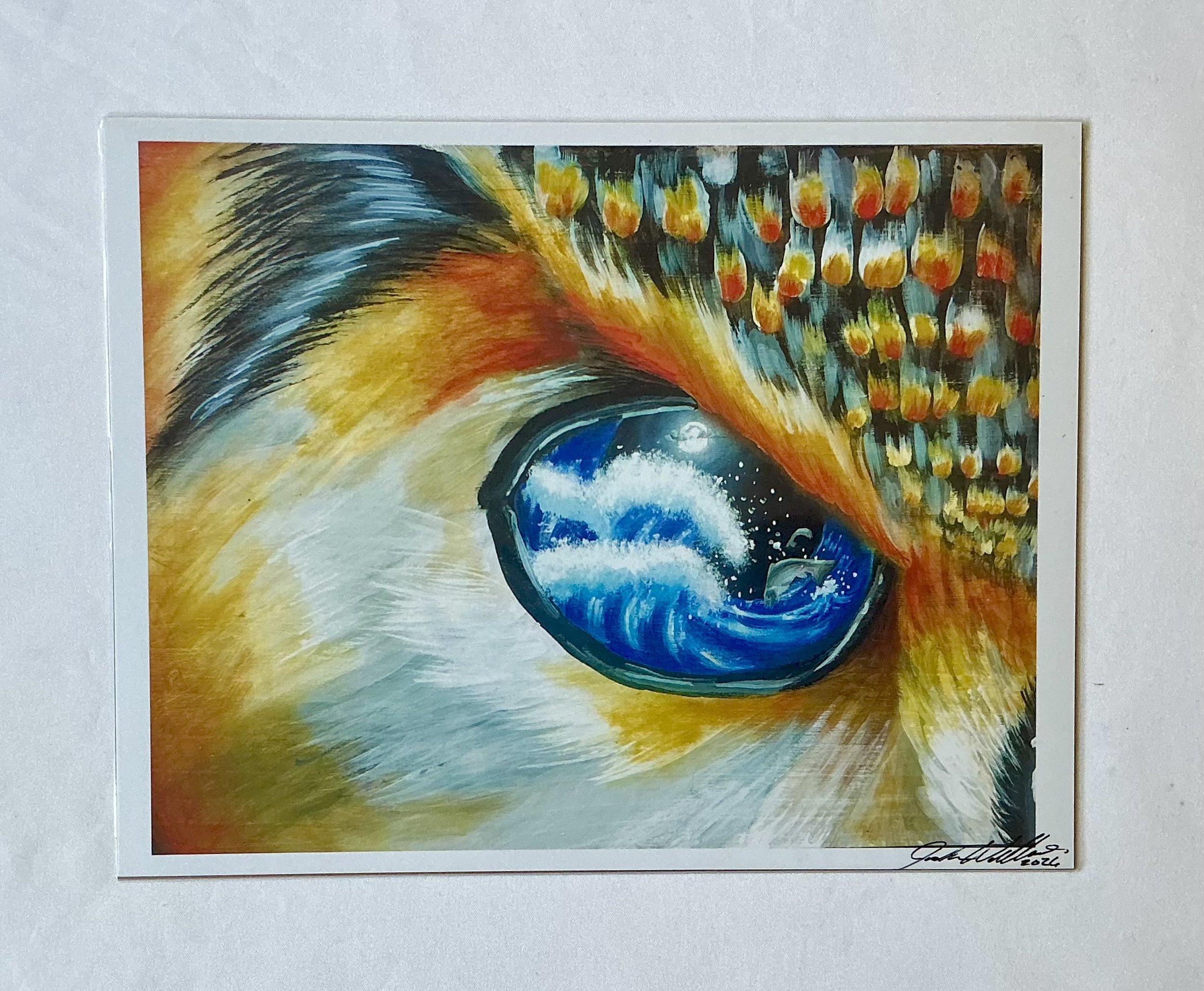 NOCTIVIS PRINT