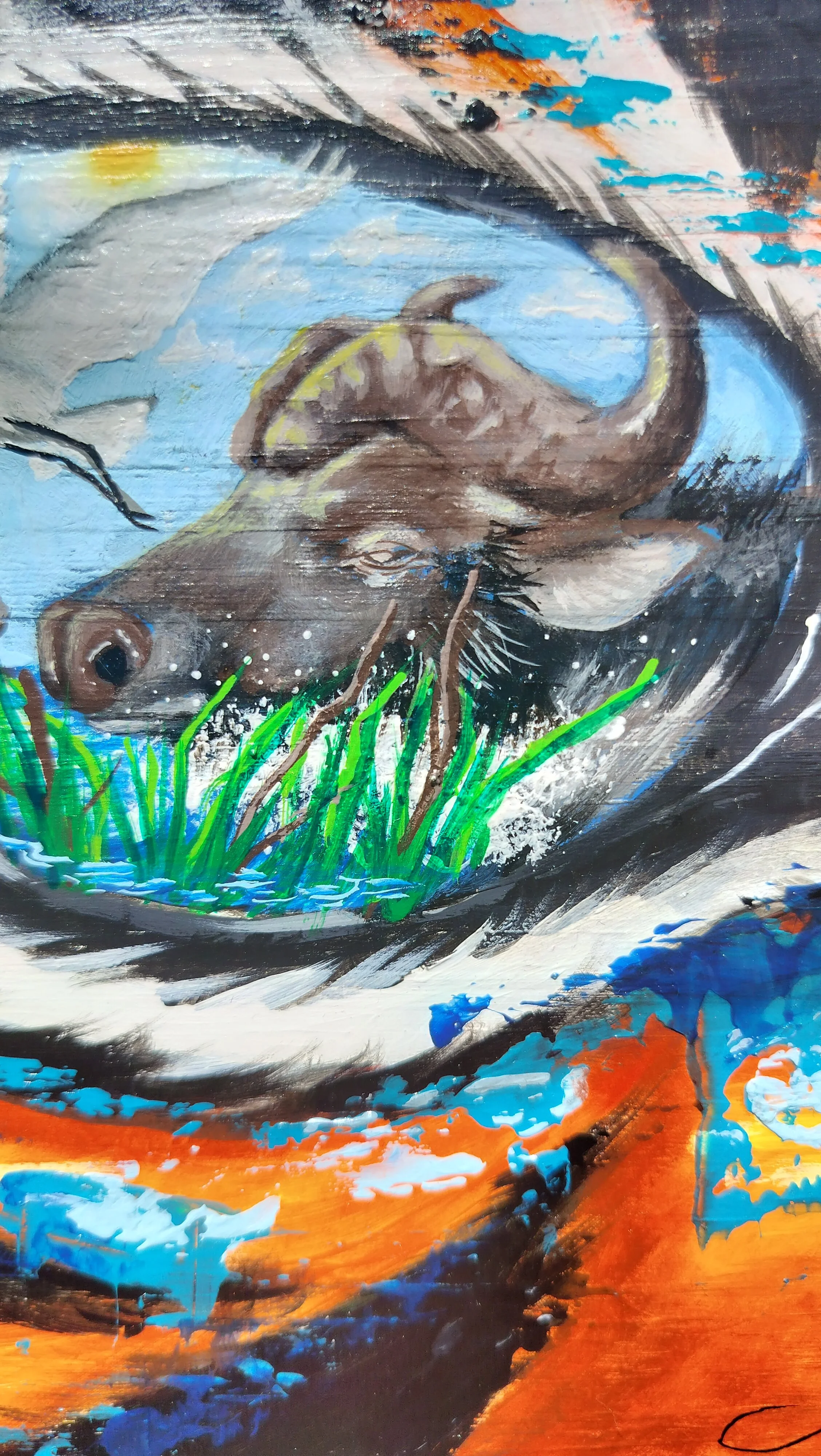1000014642.jpg