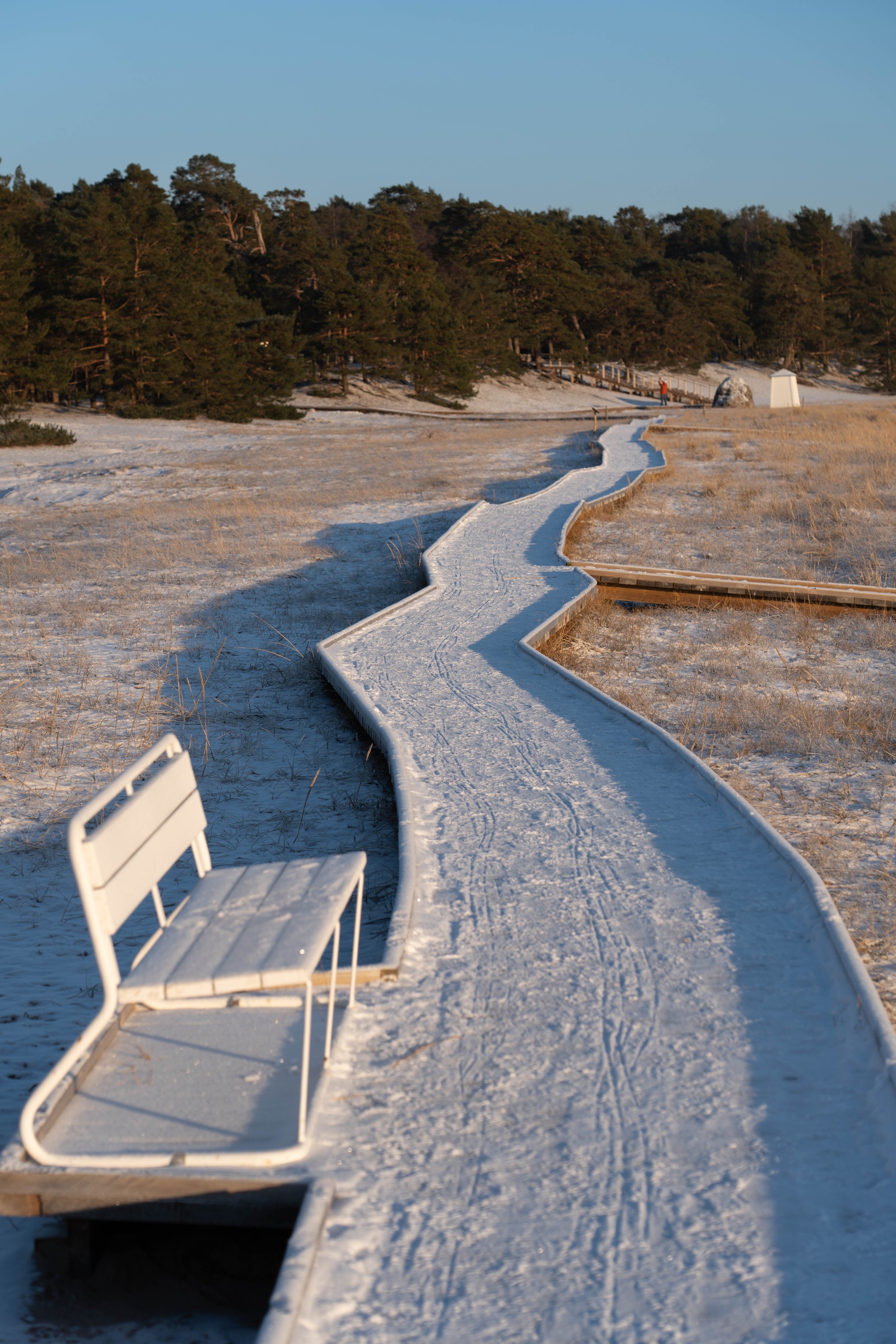 A winding boardwalk covered in snow with a white bench on the side, leading toward trees and small structures in the distance on a clear winter day.