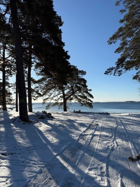 Snow-covered beach with trees and tire tracks leading toward the water under a clear blue sky.