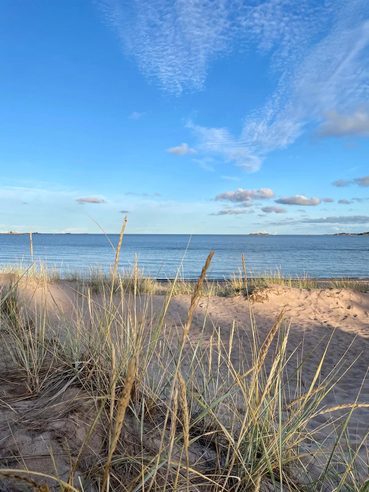 Beach scene with sandy dunes, tall grass, calm water, blue sky with scattered clouds, and distant islands or landmasses.