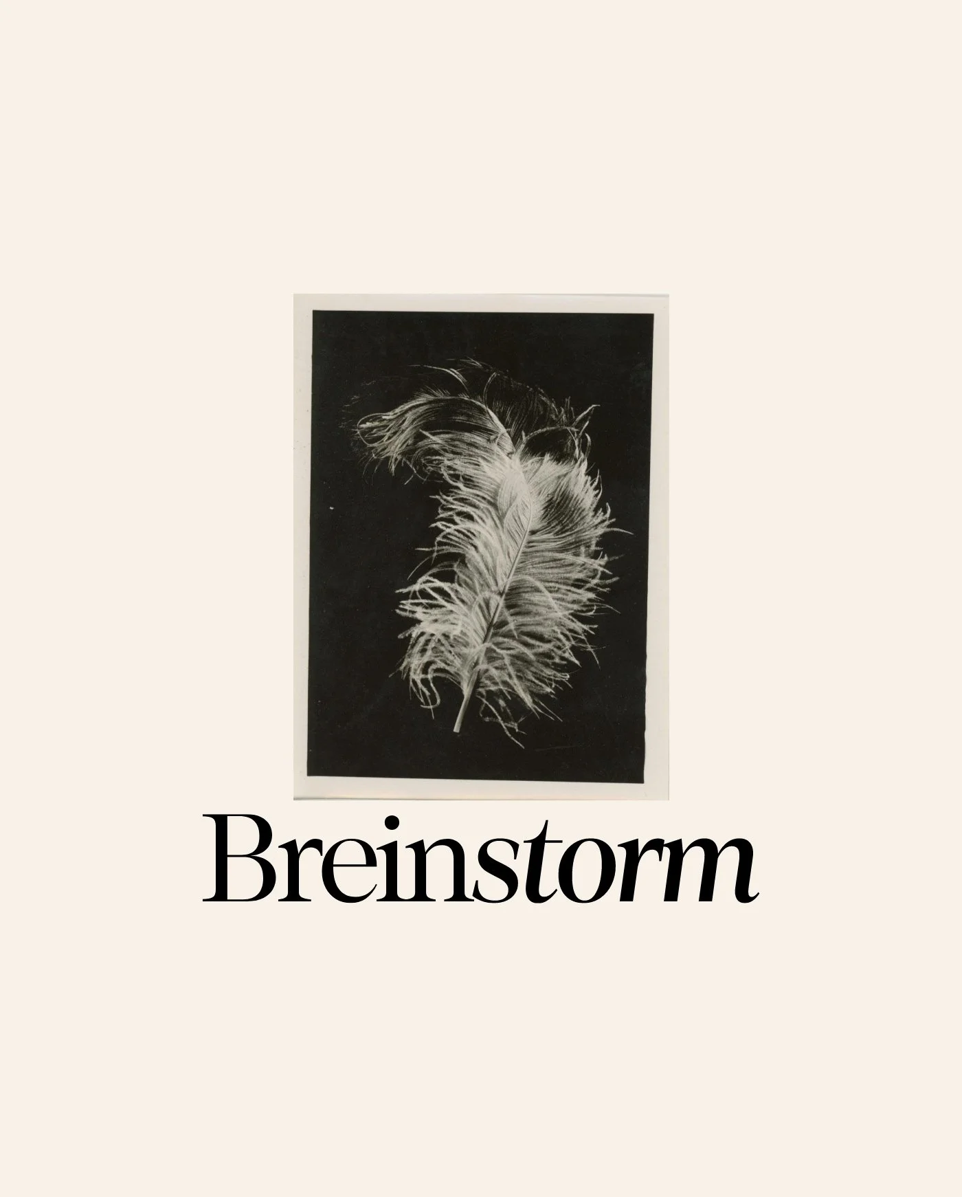 Breinstorm_CASE – 16.jpg