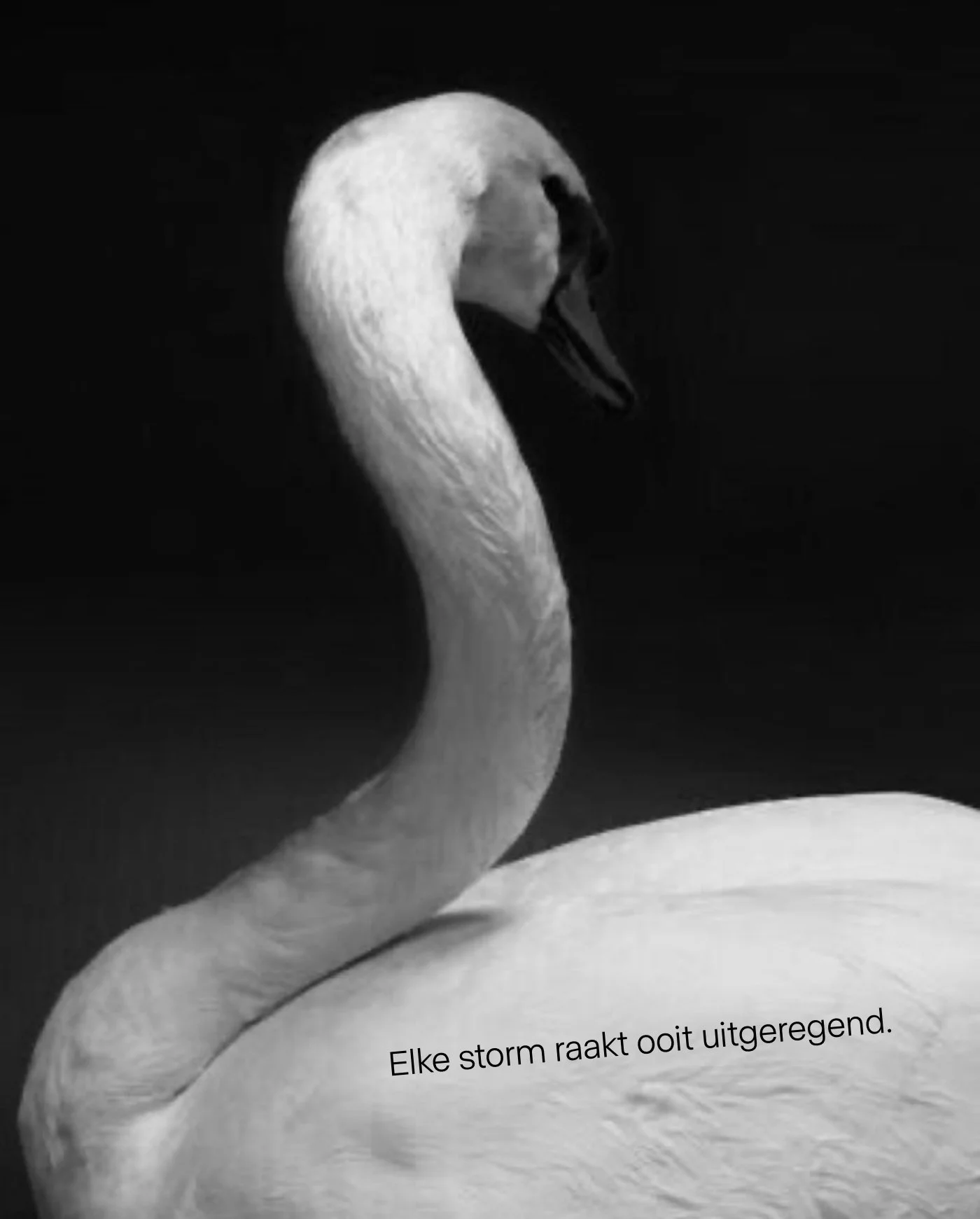 Breinstorm_CASE – 8.jpg